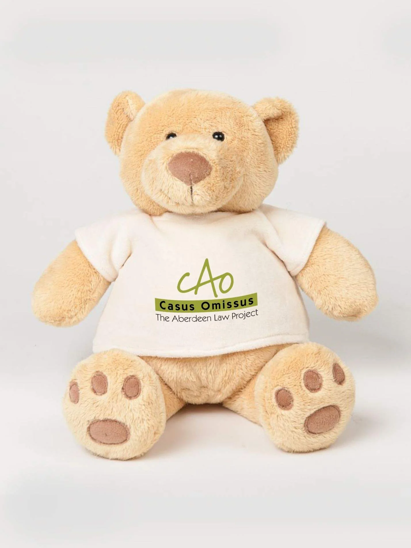 Aberdeen Law Project Printed Study Buddy Bear