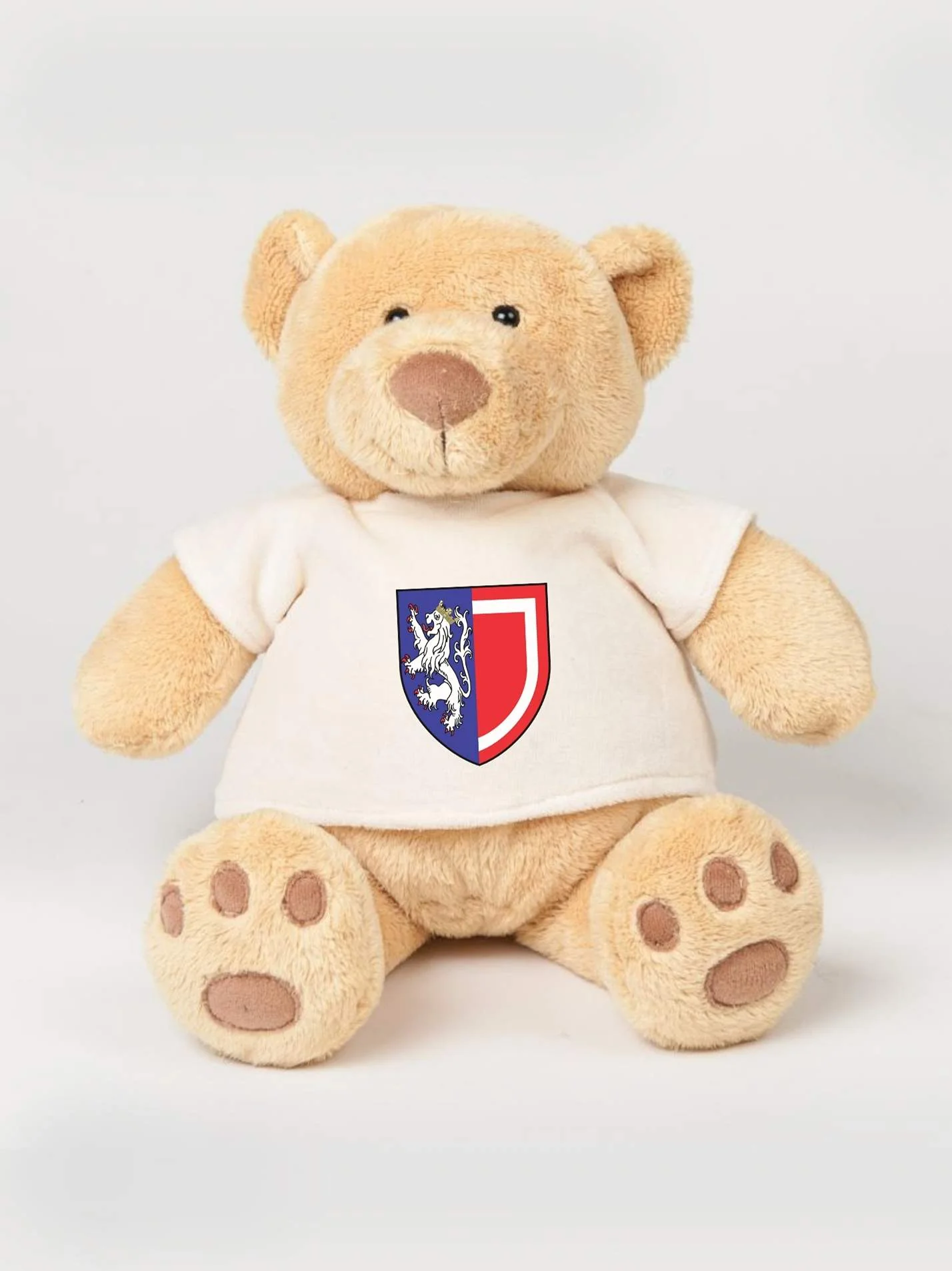 Balliol College Oxford JCR Printed Study Buddy Bear