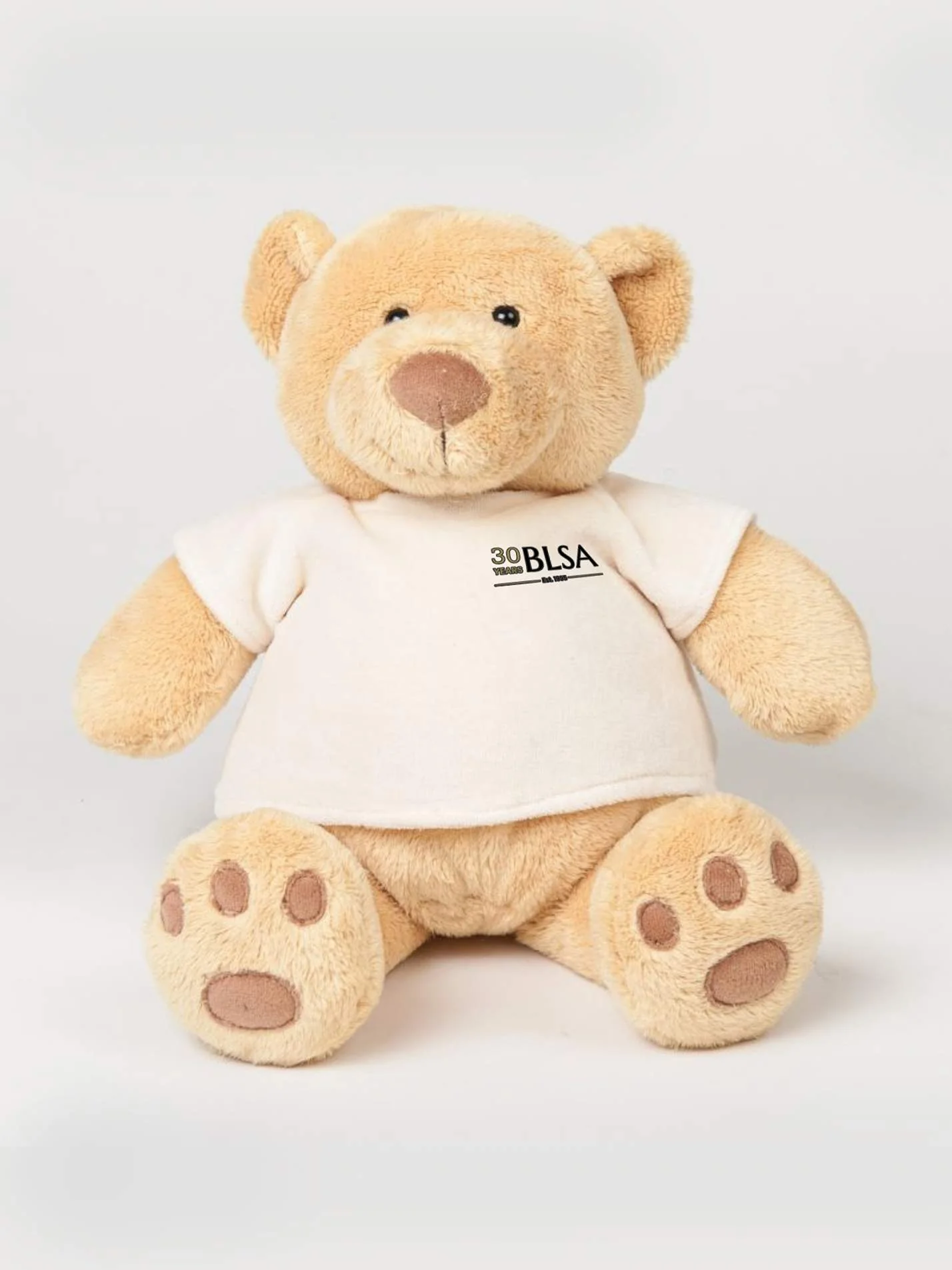 Barts and The London Students' Association - 30 Years of BLSA Printed Study Buddy Bear