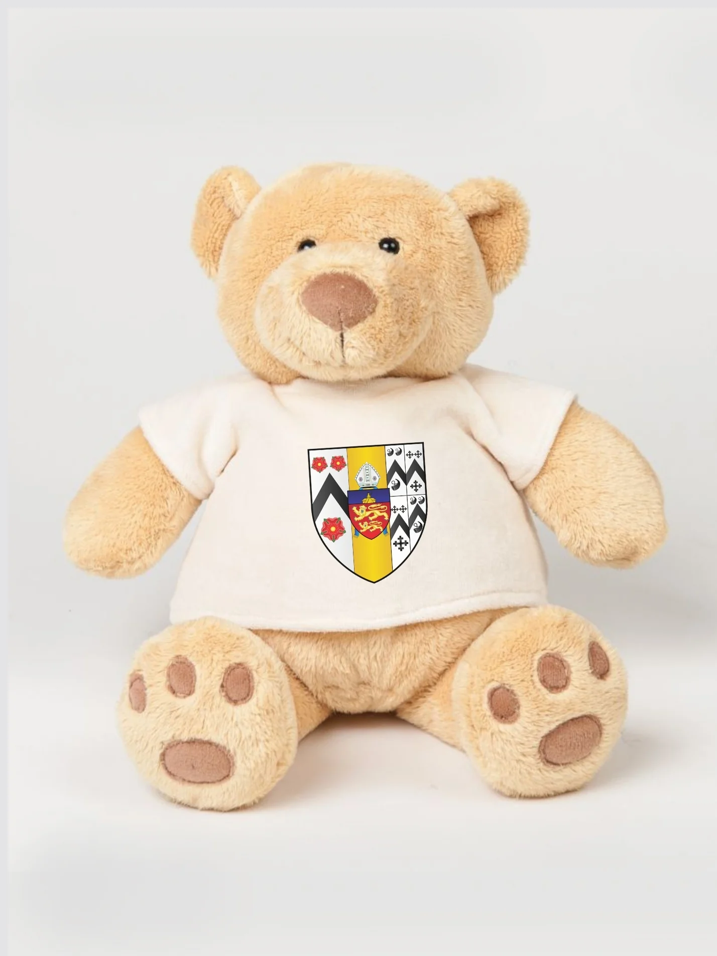 Brasenose College Oxford JCR Printed Study Buddy Bear