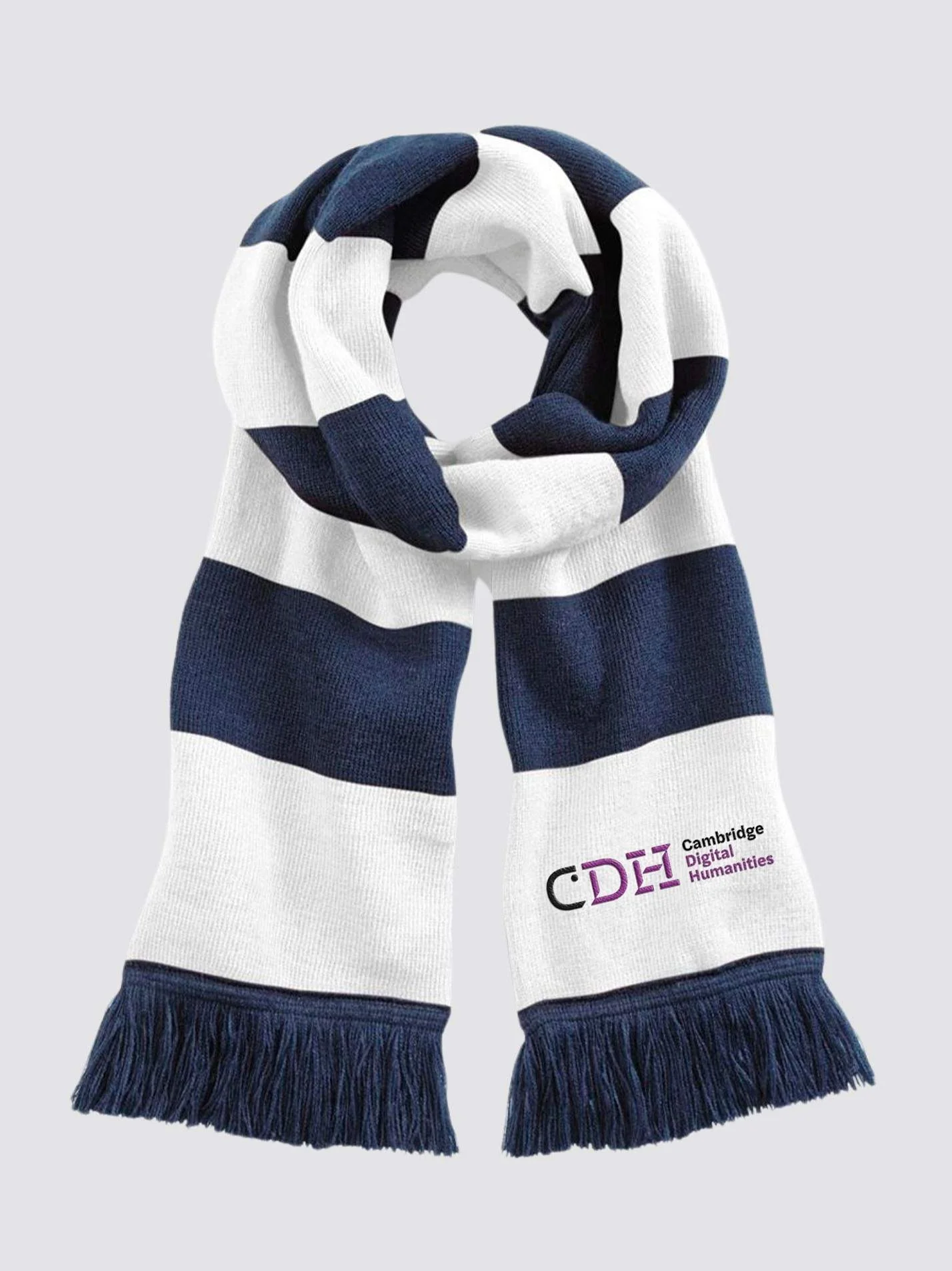 Cambridge Digital Humanities Striped Scarf - Image 2
