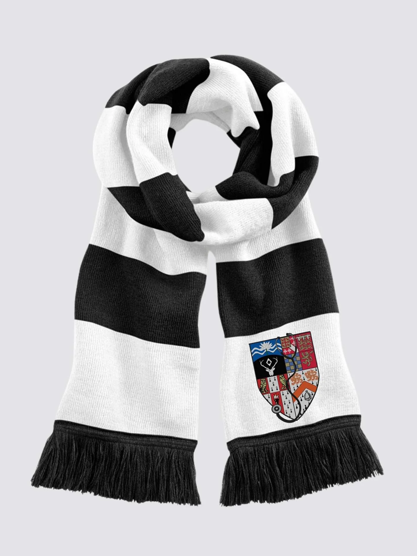 Cambridge Graduate Medicine Society Striped Scarf - Image 2