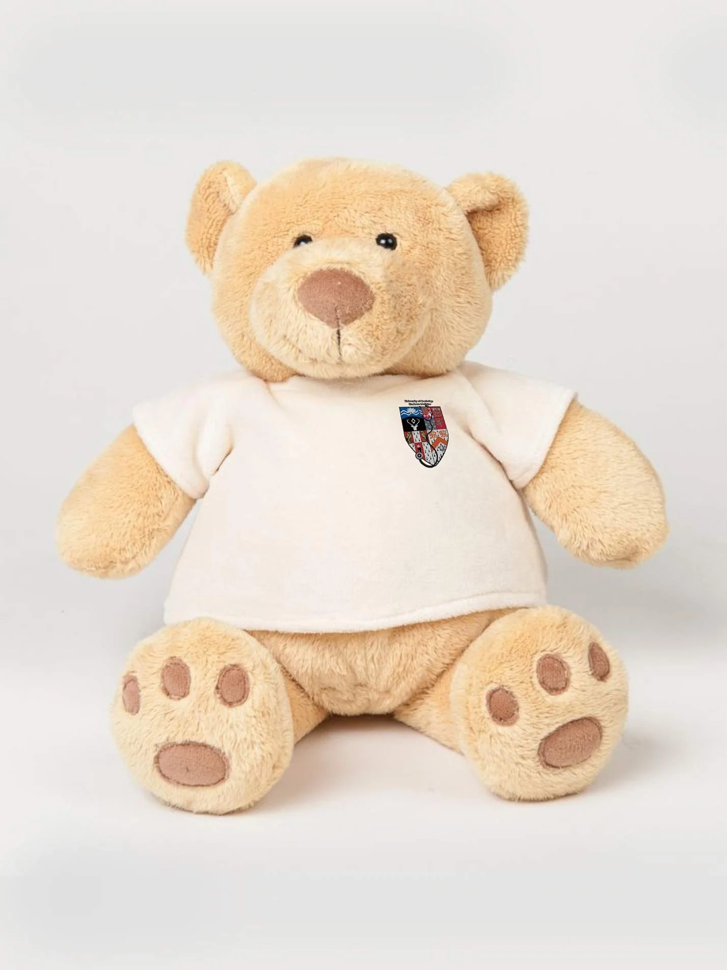 Cambridge Graduate Medicine Society Printed Study Buddy Bear