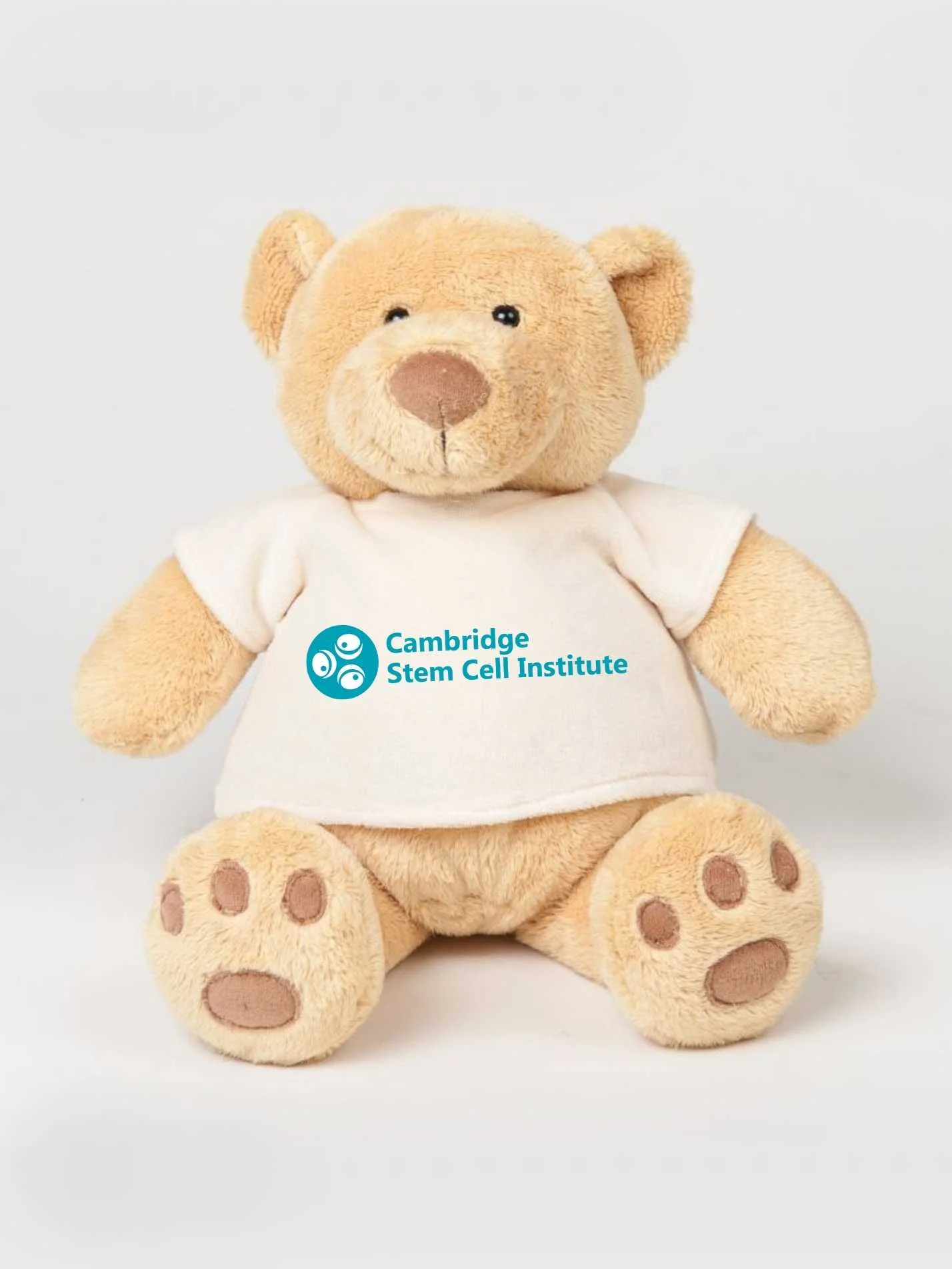 Cambridge Stem Cell Institute Printed Study Buddy Bear