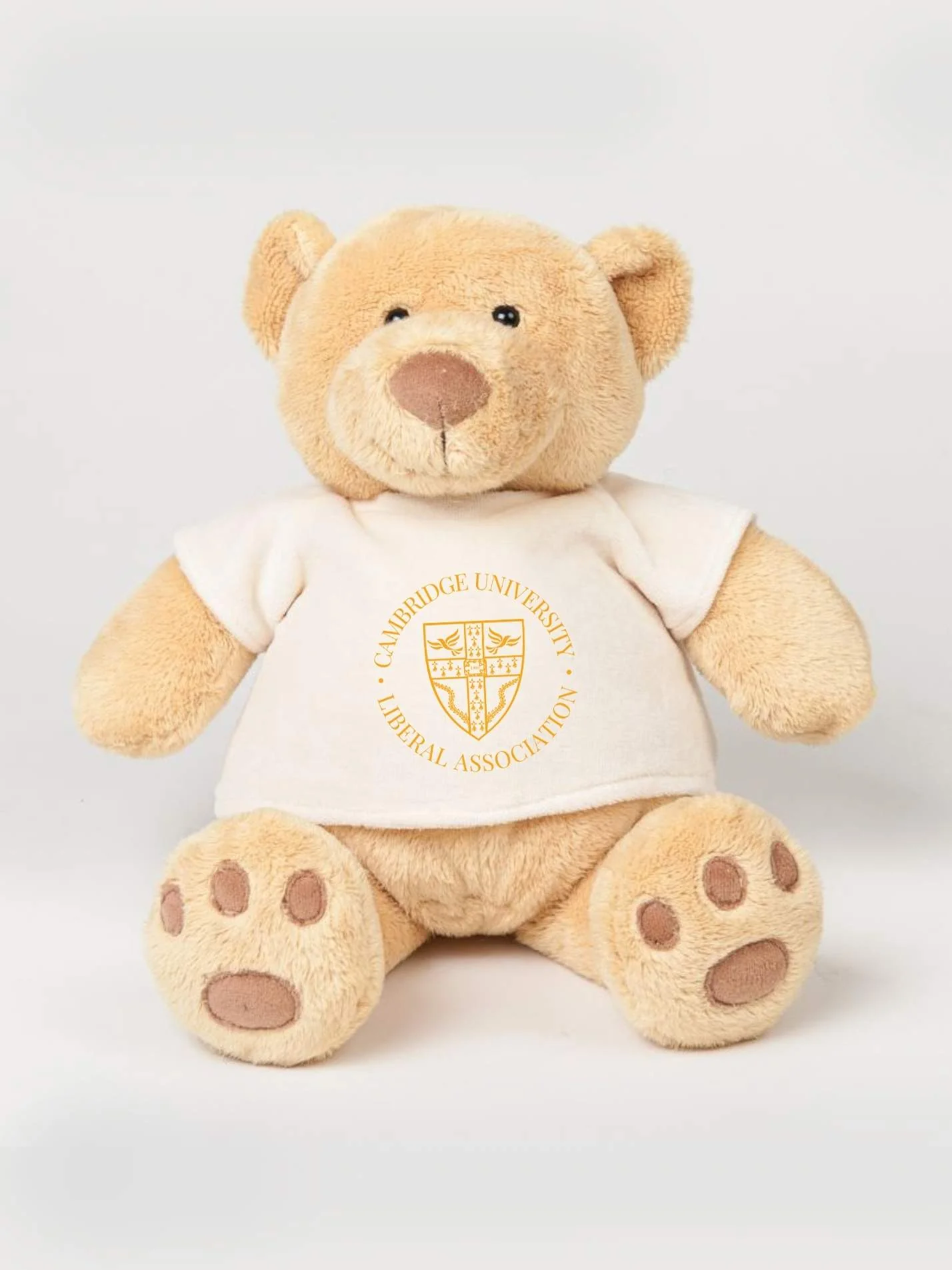 Cambridge University Liberal Association Printed Study Buddy Bear