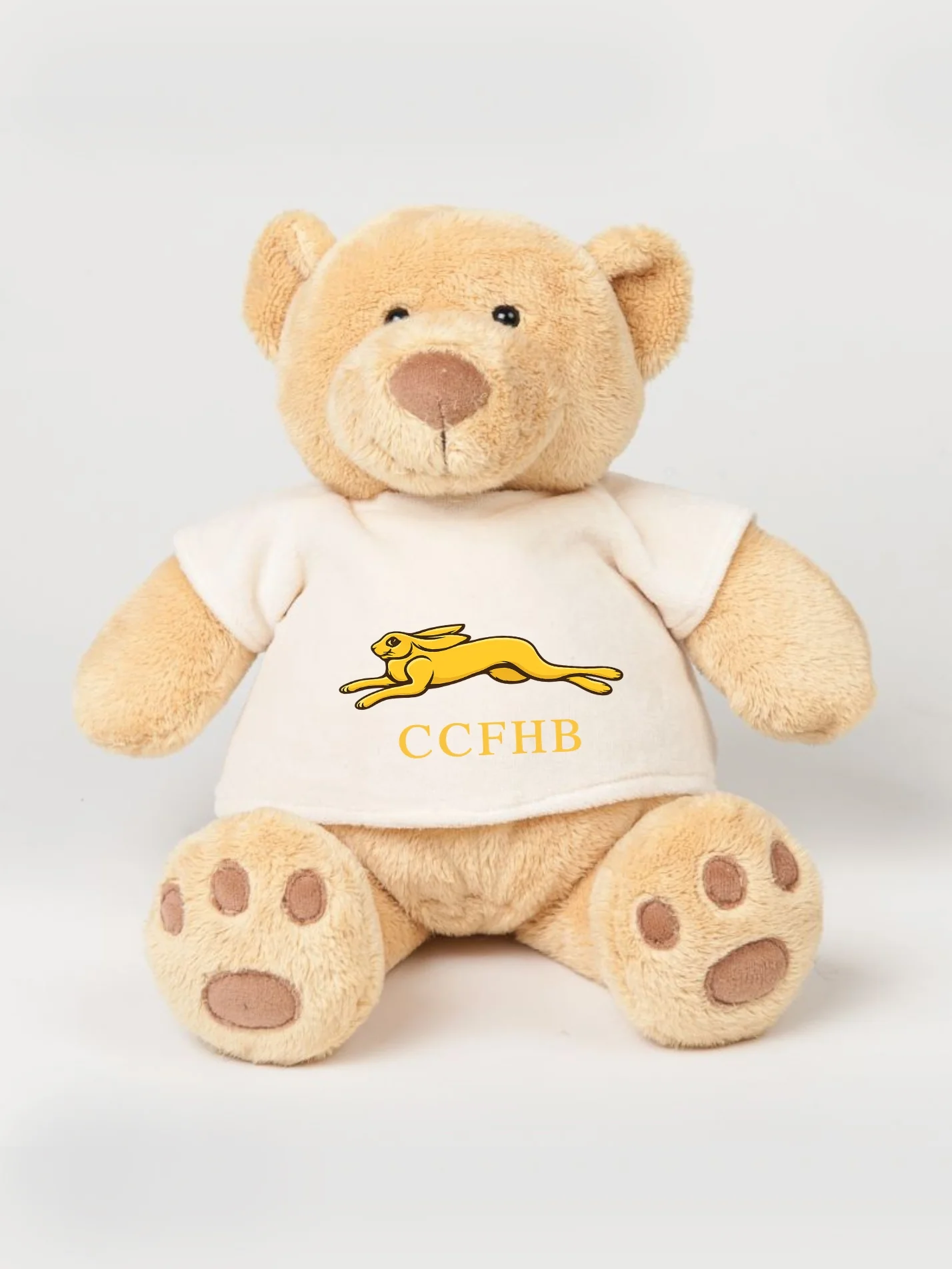 CCFHB Printed Study Buddy Bear
