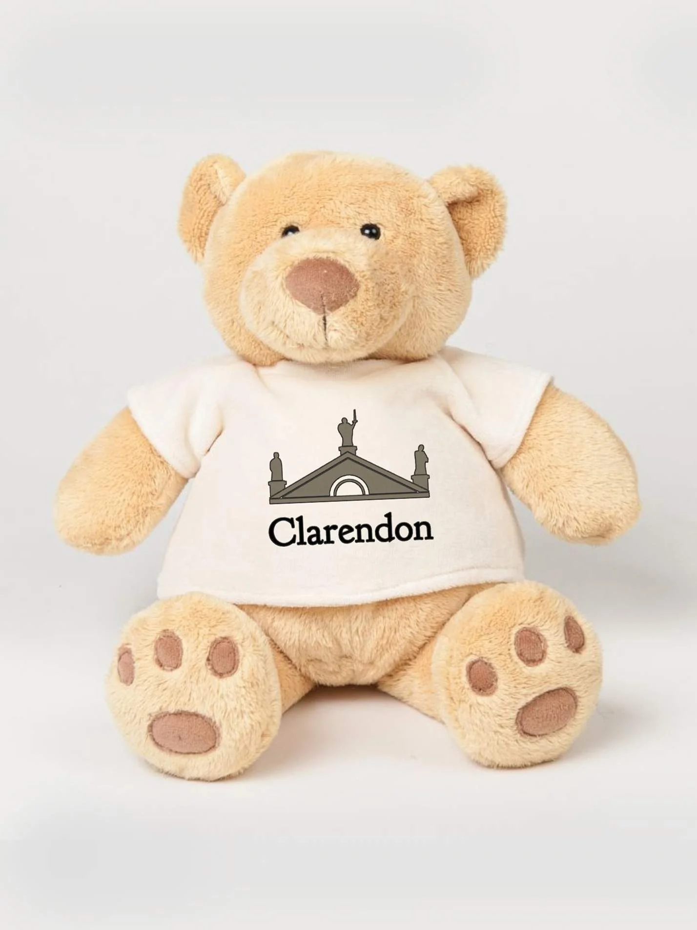 Clarendon Scholars Association Printed Study Buddy Bear