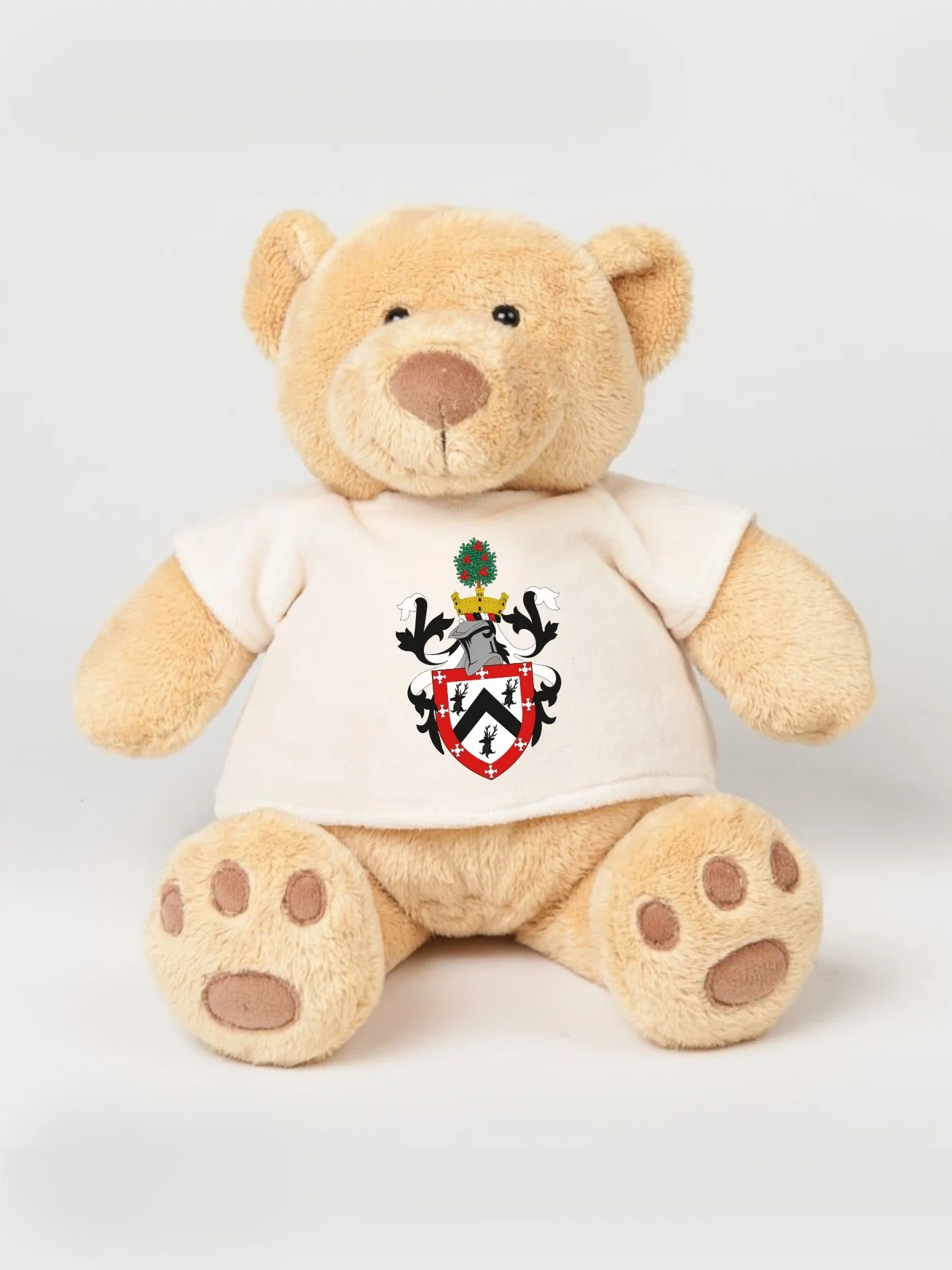 Collingwood College Durham Printed Study Buddy Bear