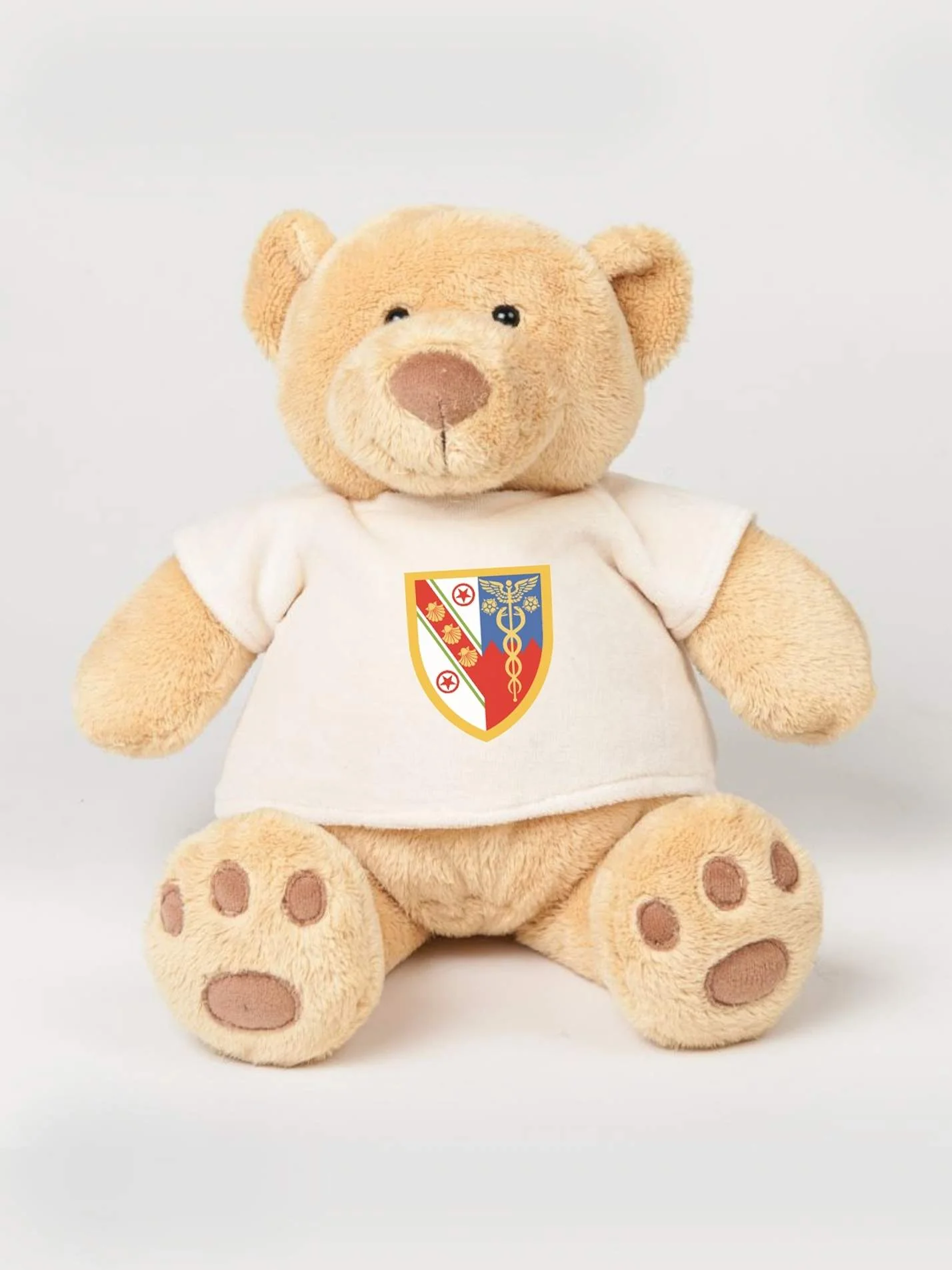 Darwin College Cambridge Printed Study Buddy Bear