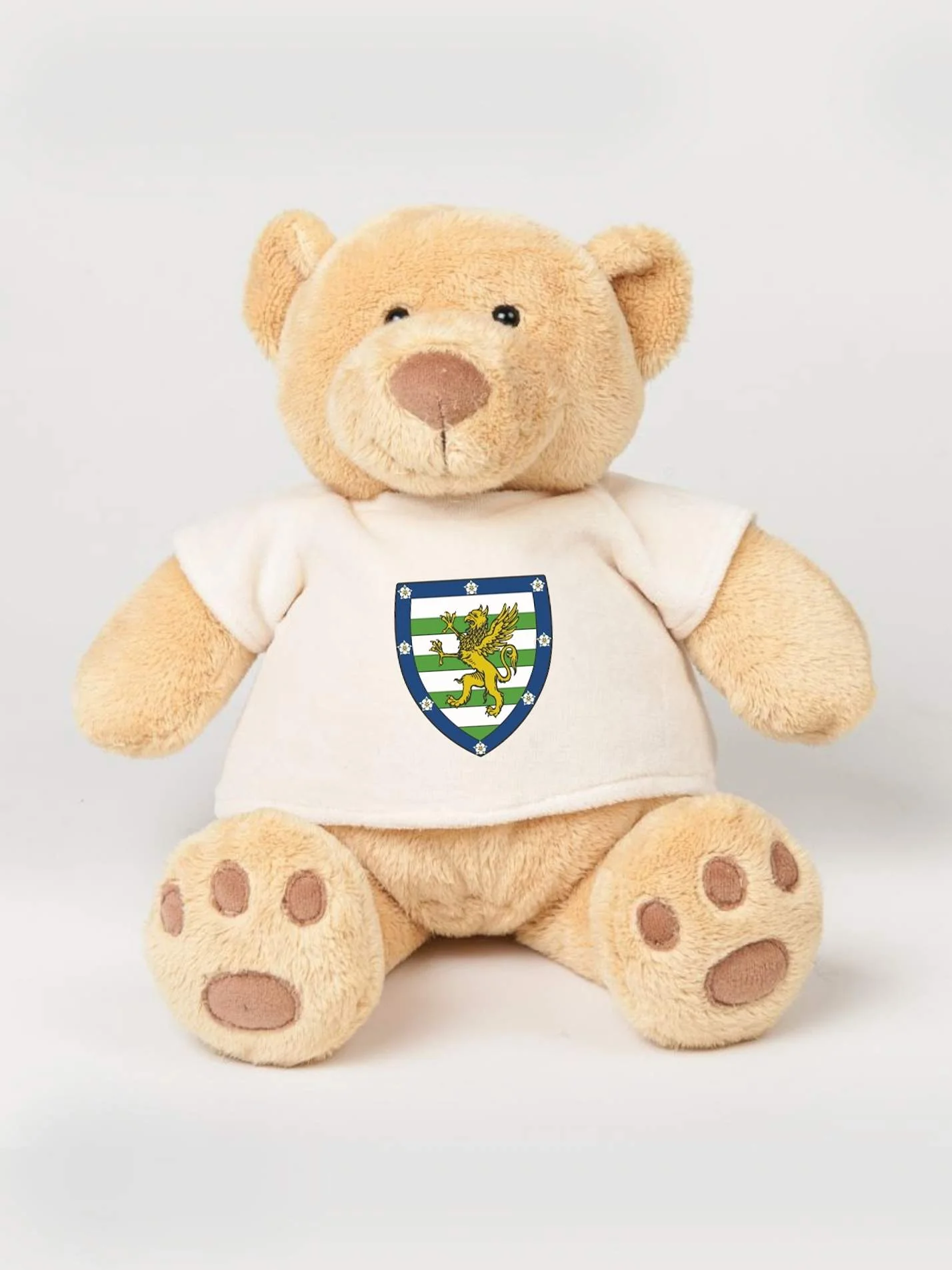Downing College Cambridge JCR Printed Study Buddy Bear