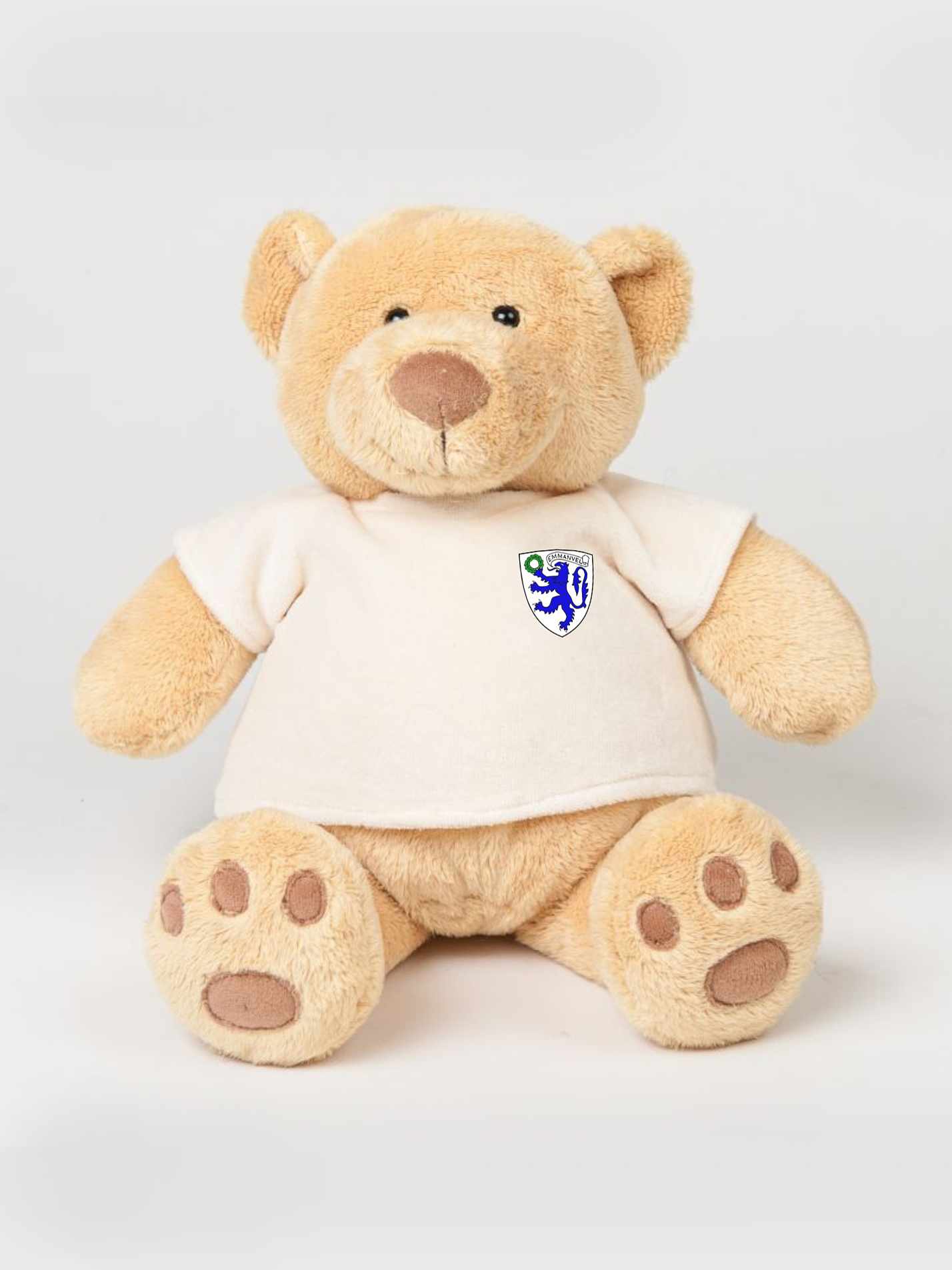 Emmanuel College Cambridge MCR Printed Study Buddy Bear