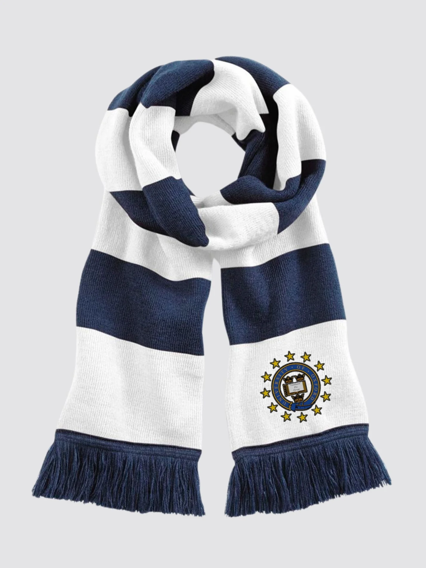 Europeanist Society of Oxford University Striped Scarf