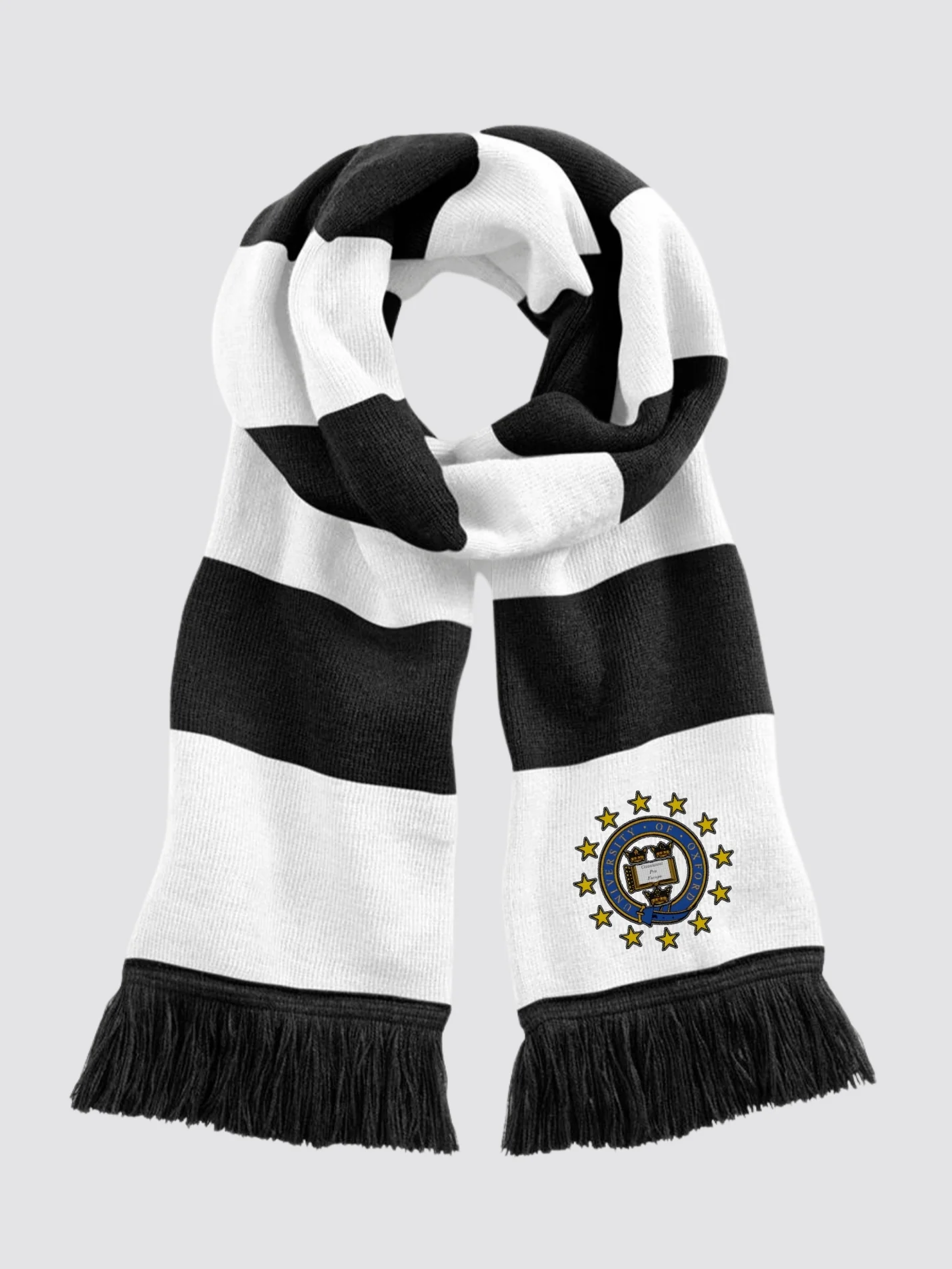 Europeanist Society of Oxford University Striped Scarf - Image 2