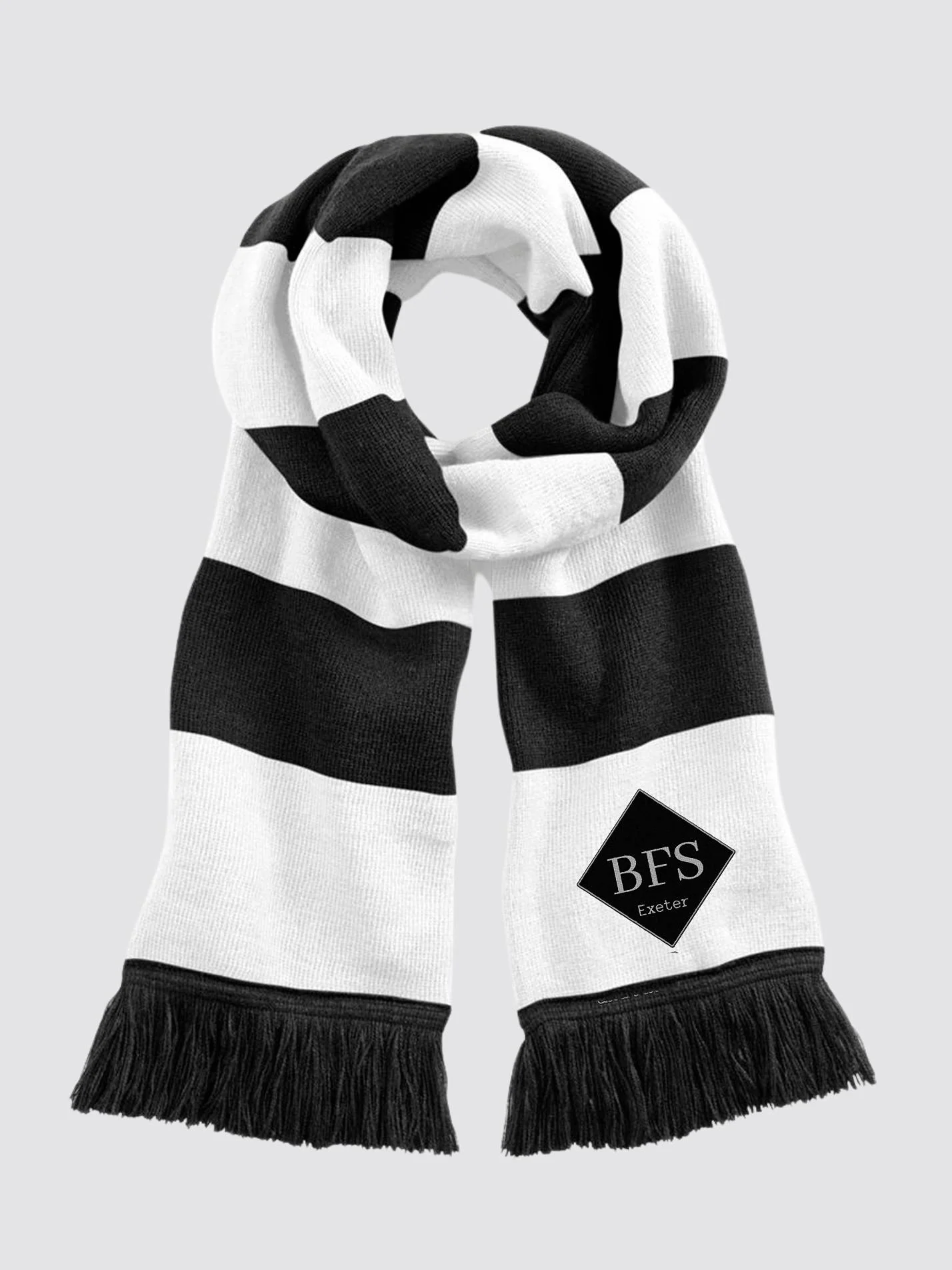 Exeter Business & Finance Striped Scarf