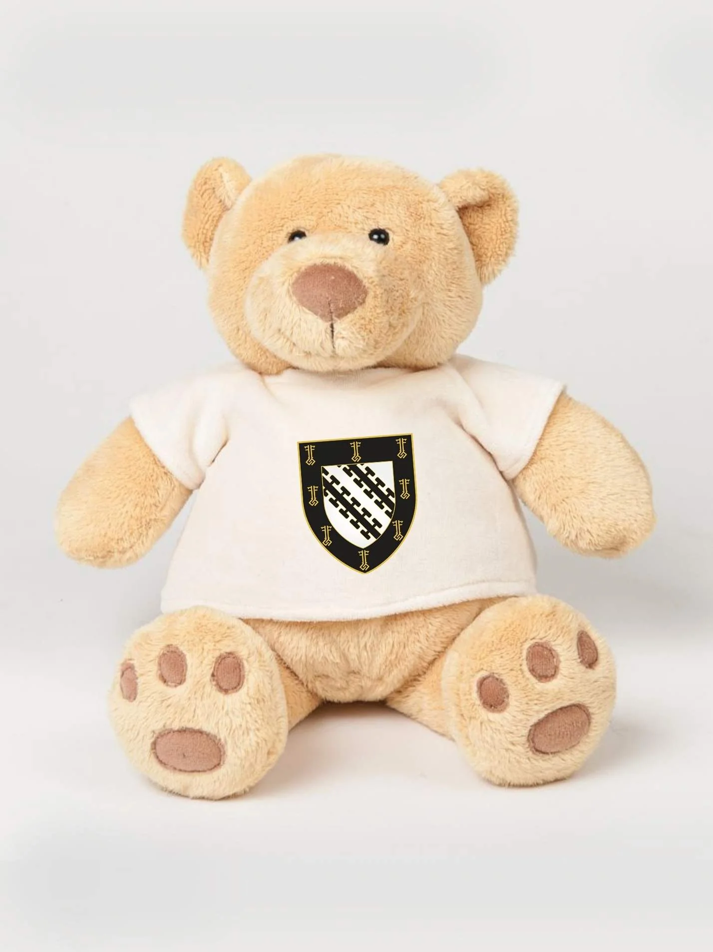 Exeter College Oxford MCR Printed Study Buddy Bear