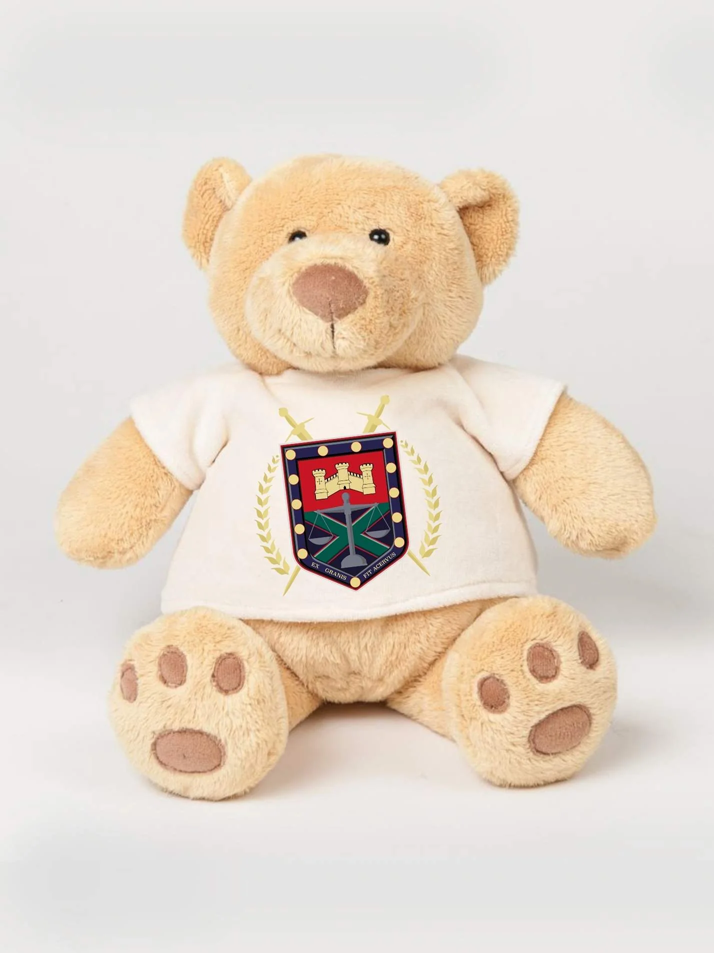 Exeter Law Society Printed Study Buddy Bear