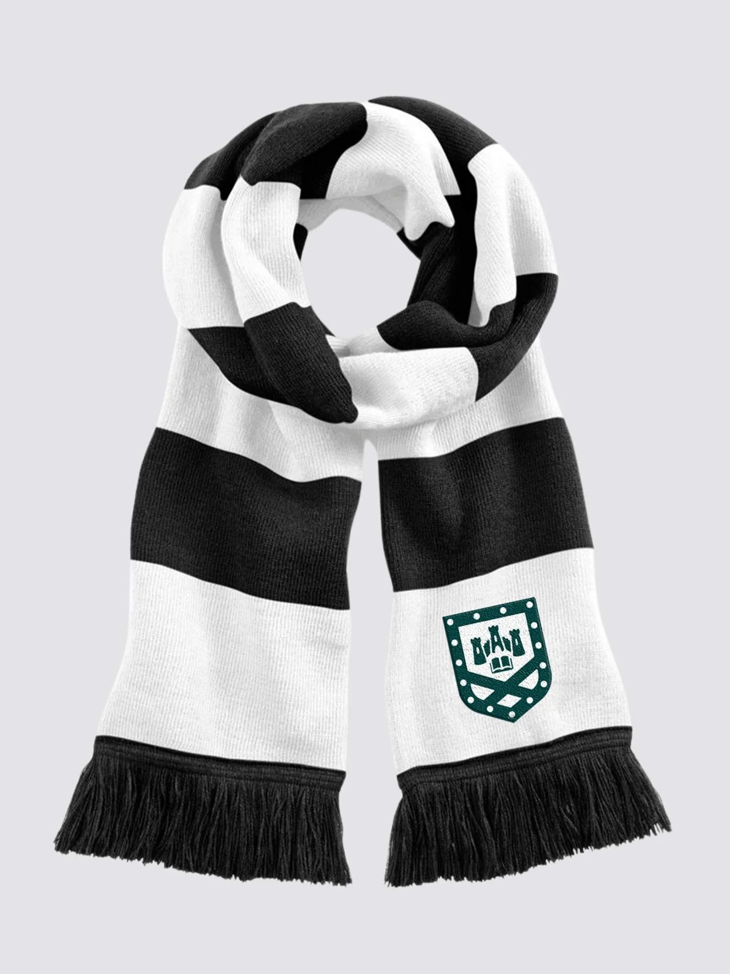 Exeter Neuroscience Striped Scarf