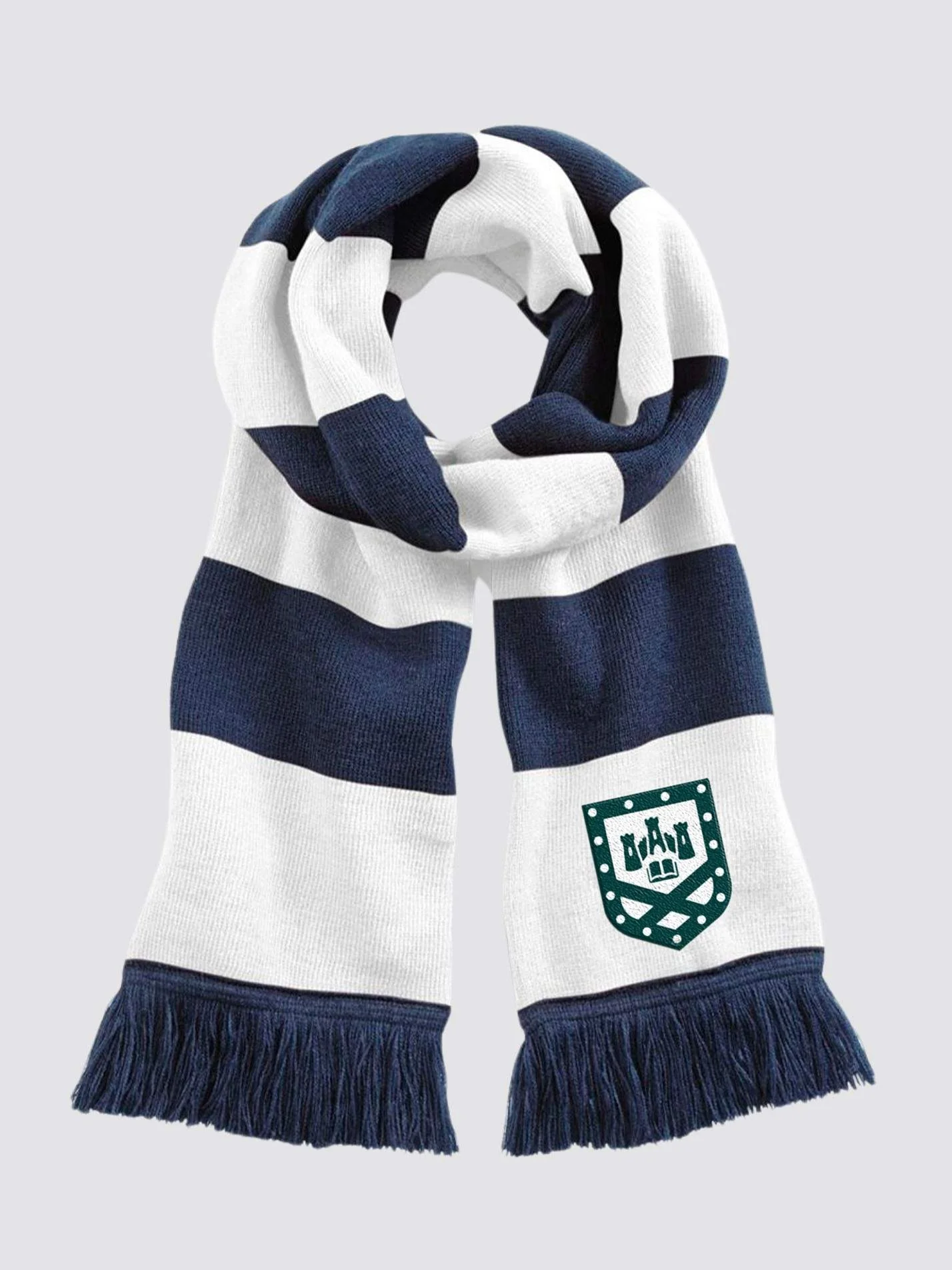 Exeter Neuroscience Striped Scarf - Image 3