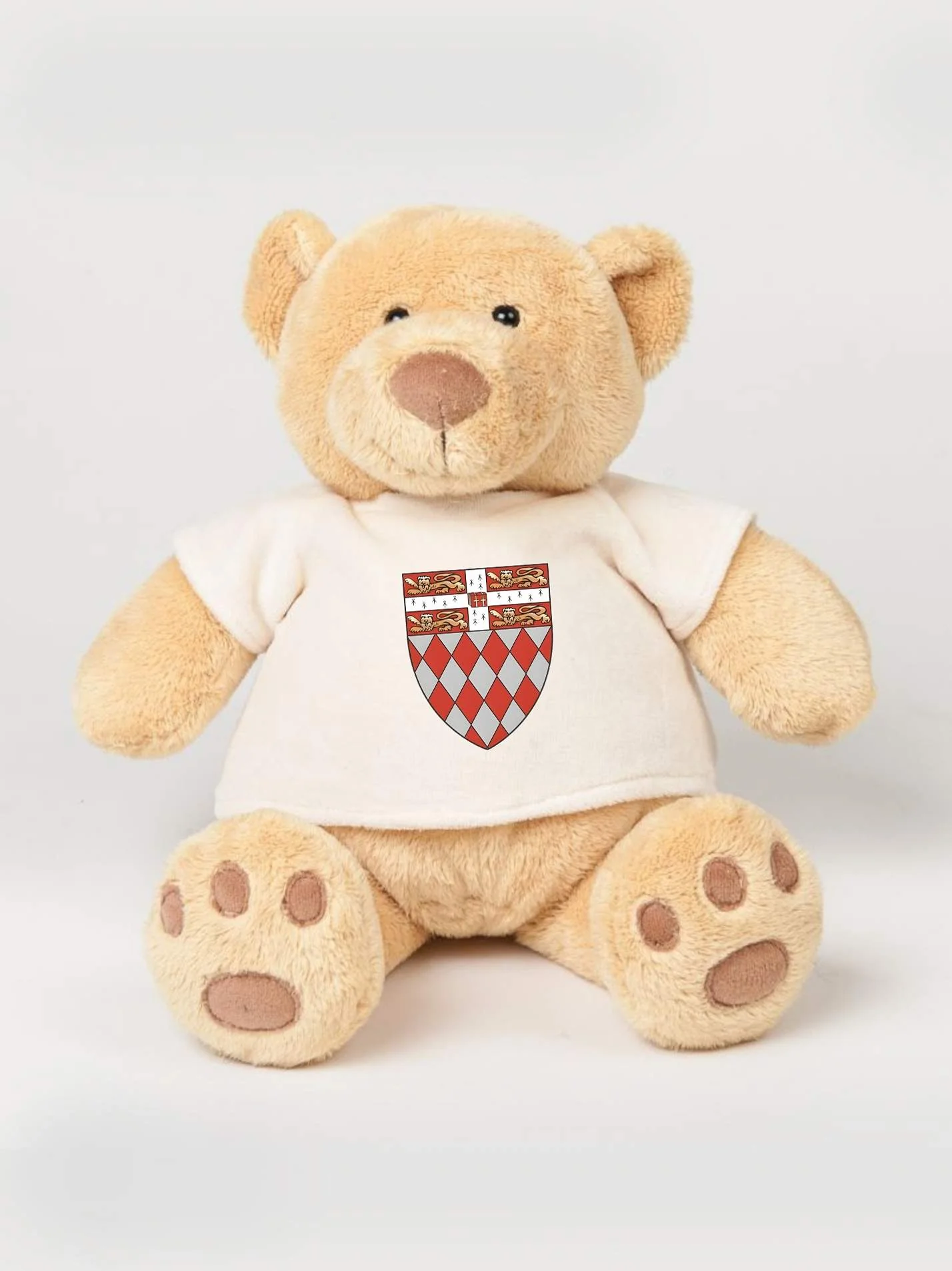 Fitzwilliam College Cambridge JCR Printed Study Buddy Bear