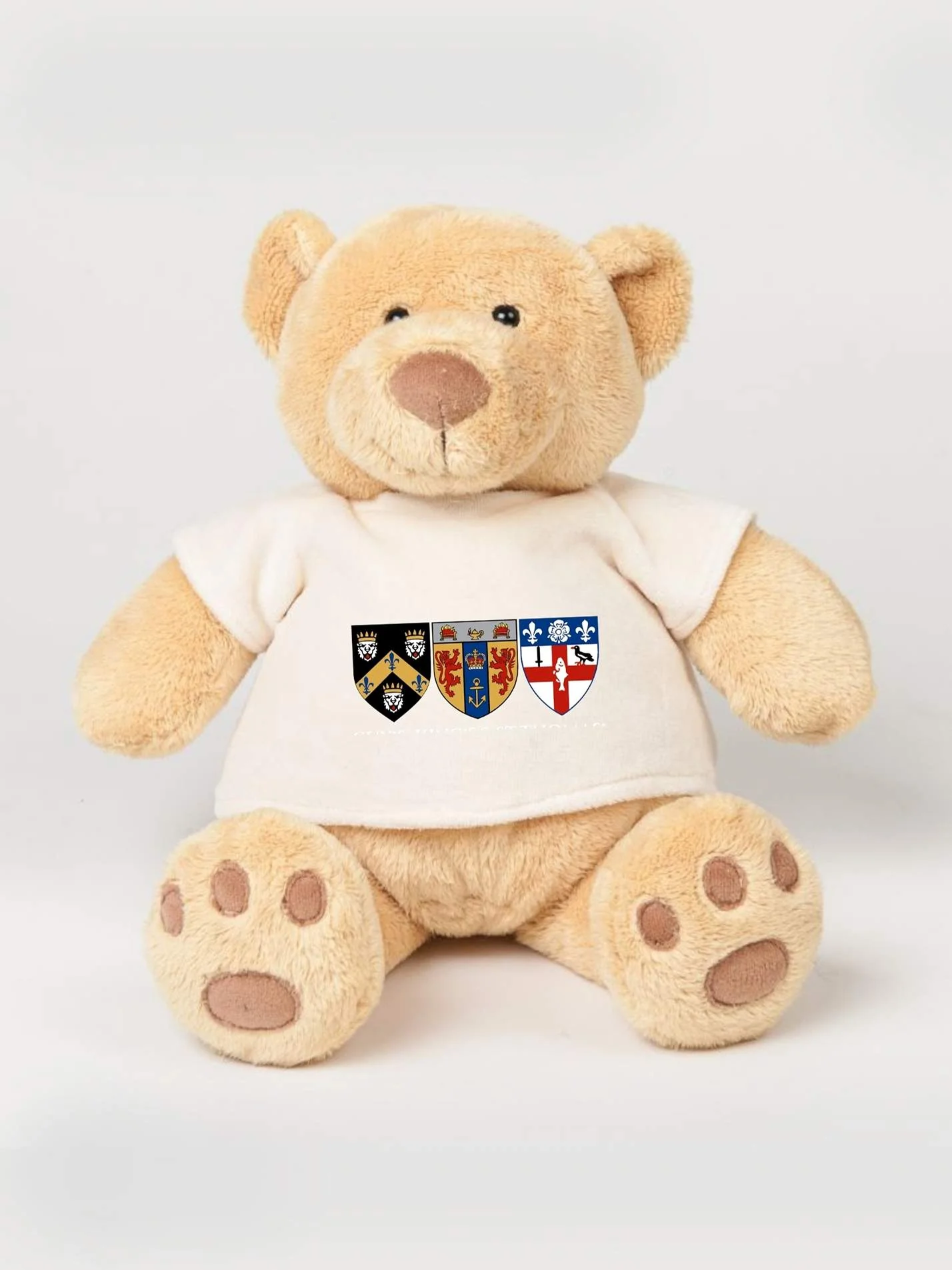 GKT School of Medicine Printed Study Buddy Bear