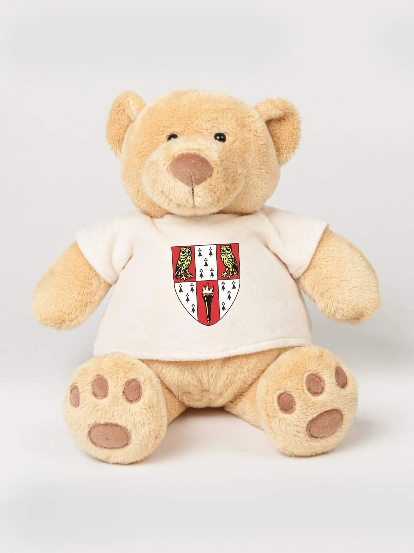 Hughes Hall Cambridge MCR Printed Study Buddy Bear
