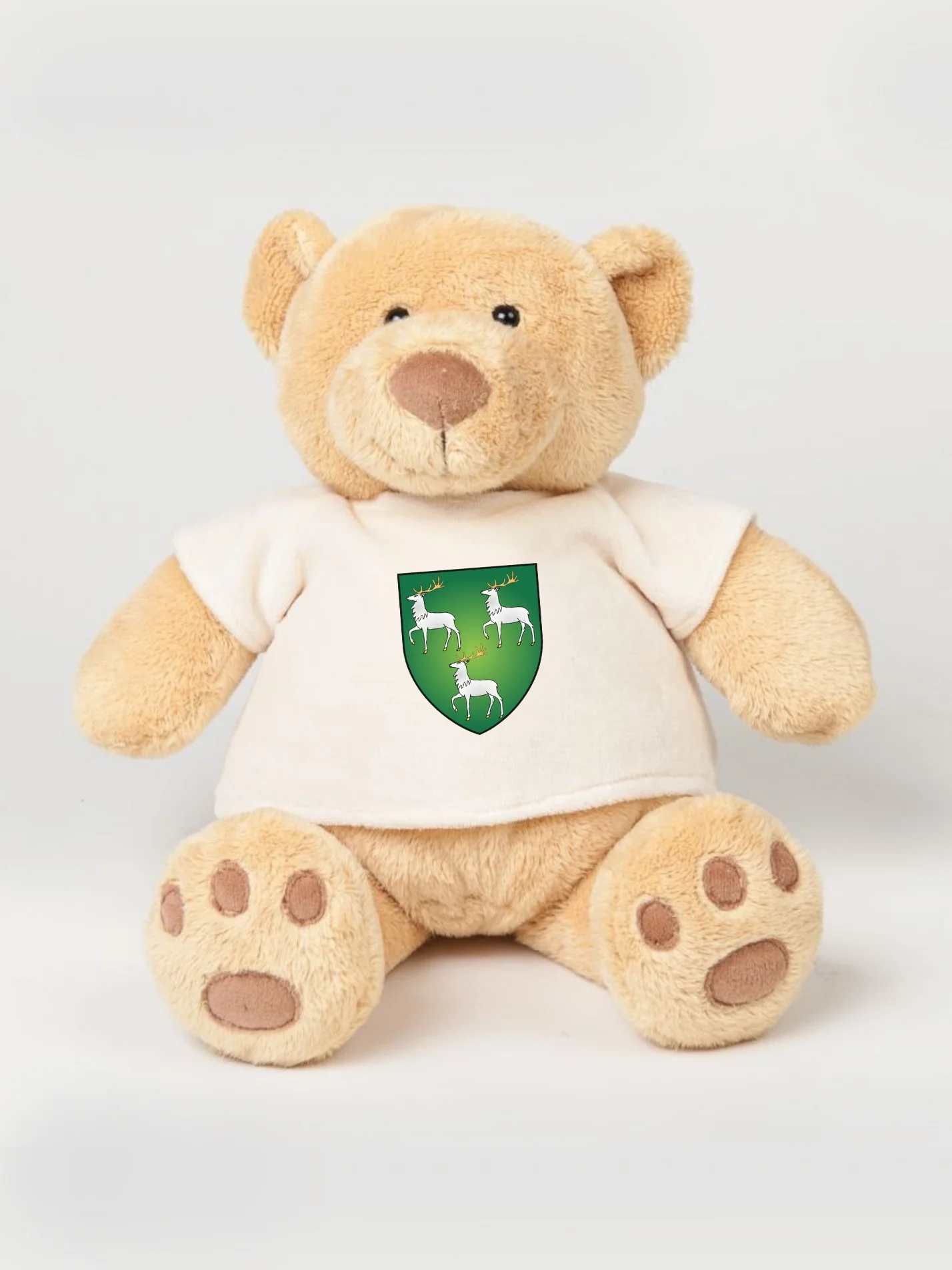 Jesus College Oxford MCR Printed Study Buddy Bear
