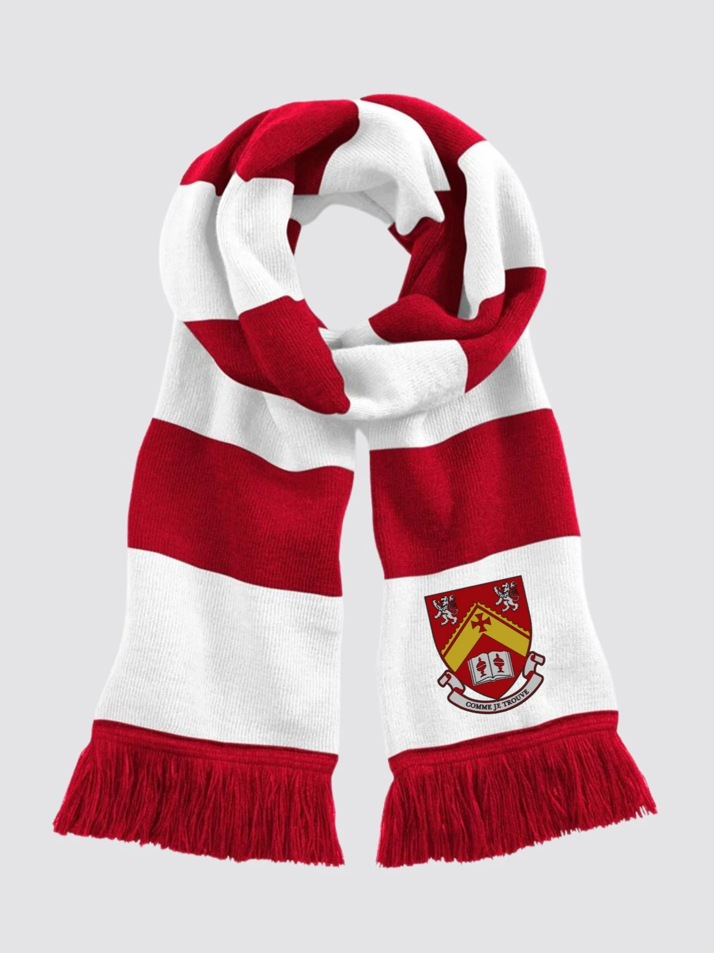 Josephine Butler College Durham JCR Striped Scarf - Image 2