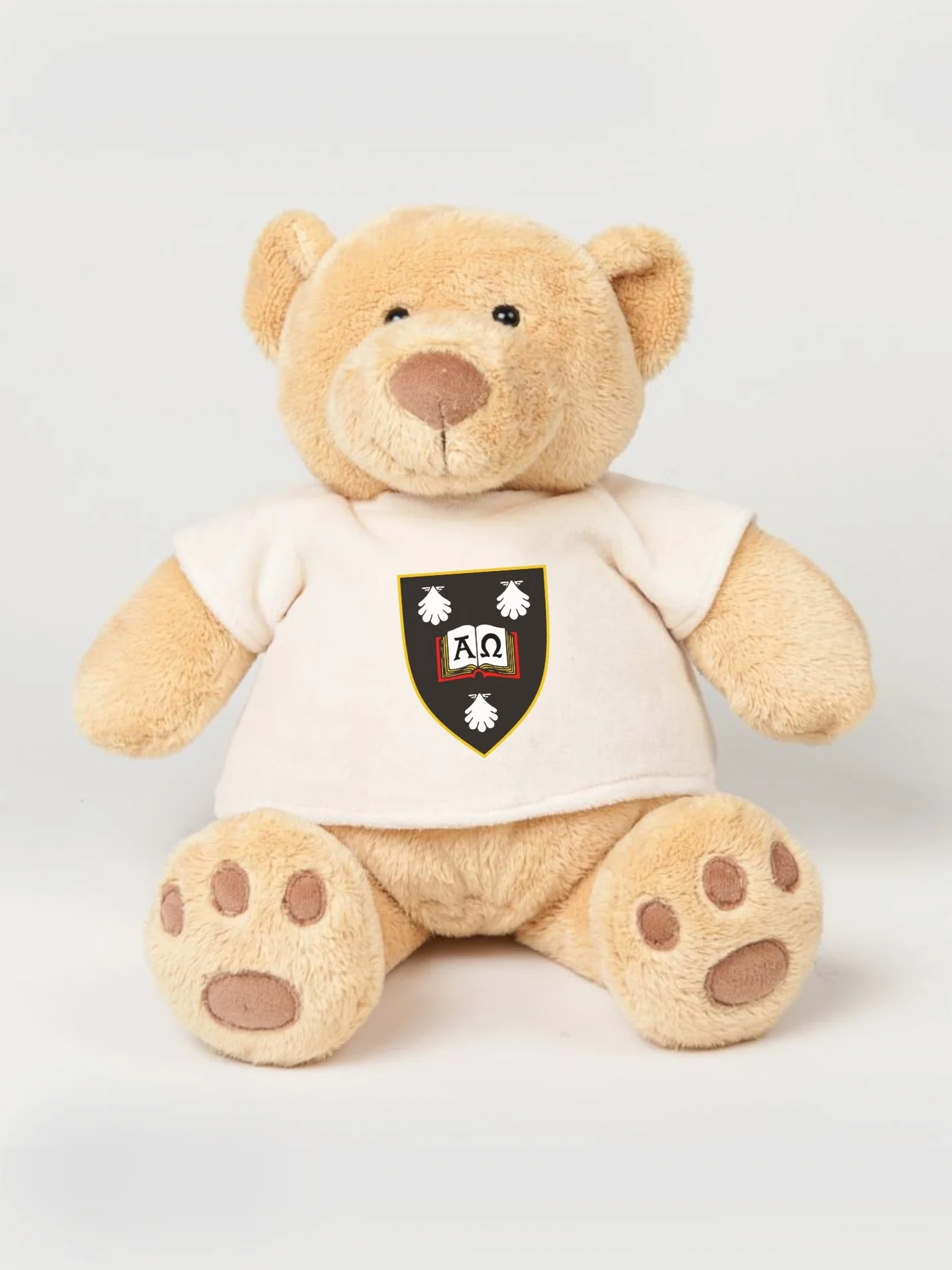 Linacre College Oxford Printed Study Buddy Bear