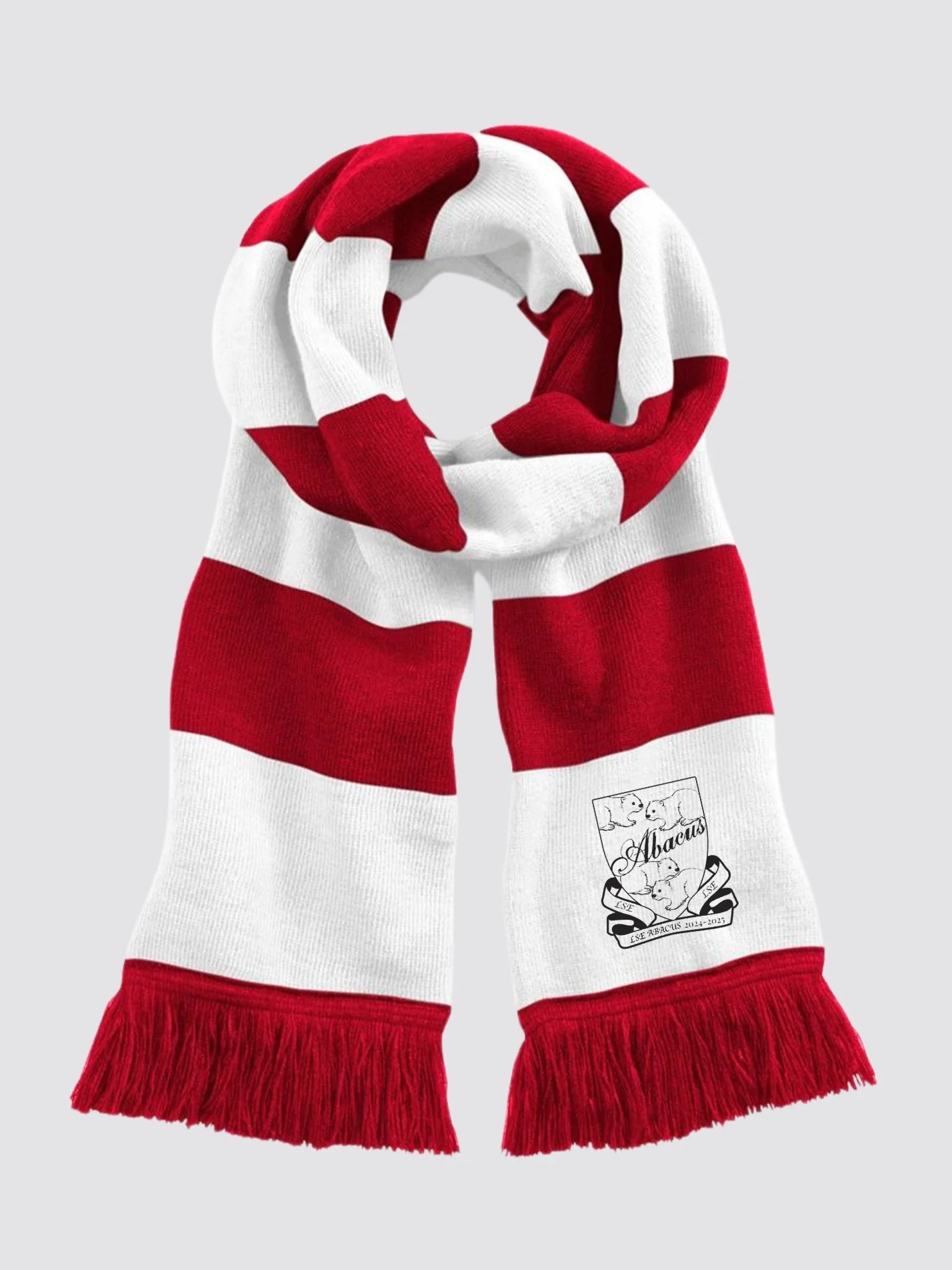 LSE ABACUS Striped Scarf - Image 3