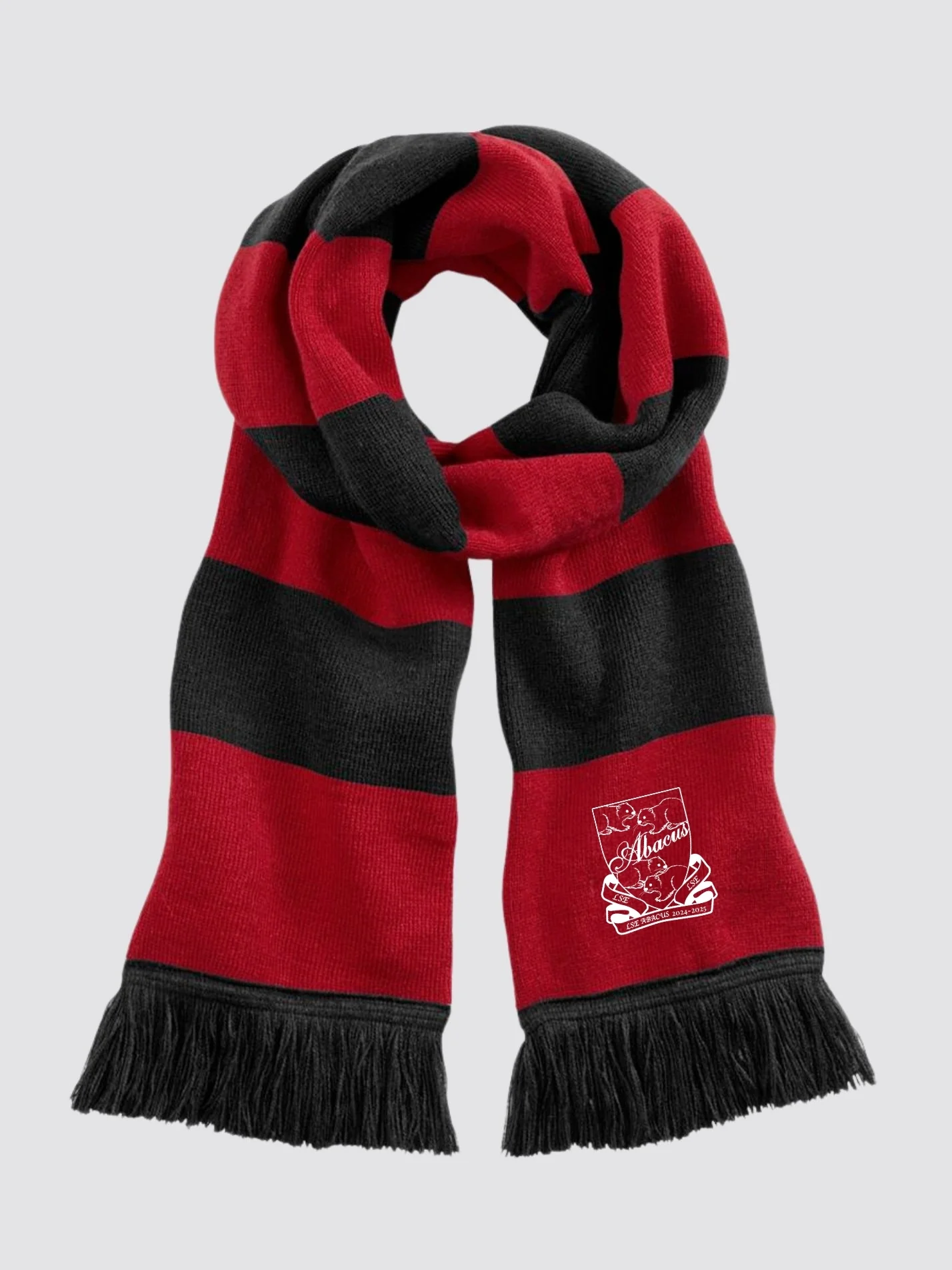 LSE ABACUS Striped Scarf - Image 4