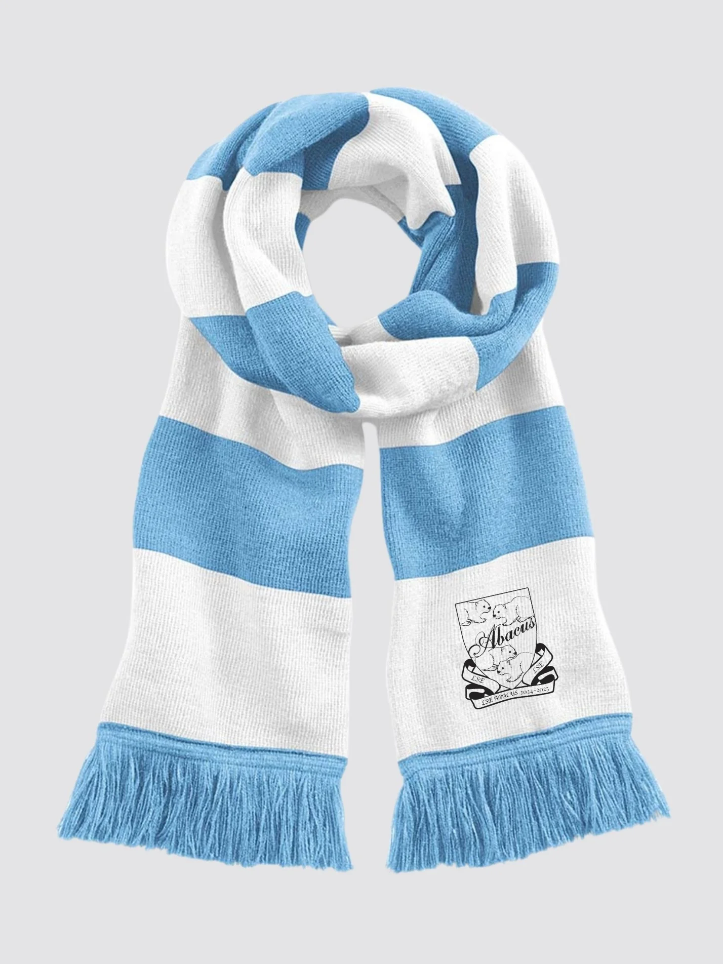 LSE ABACUS Striped Scarf - Image 6