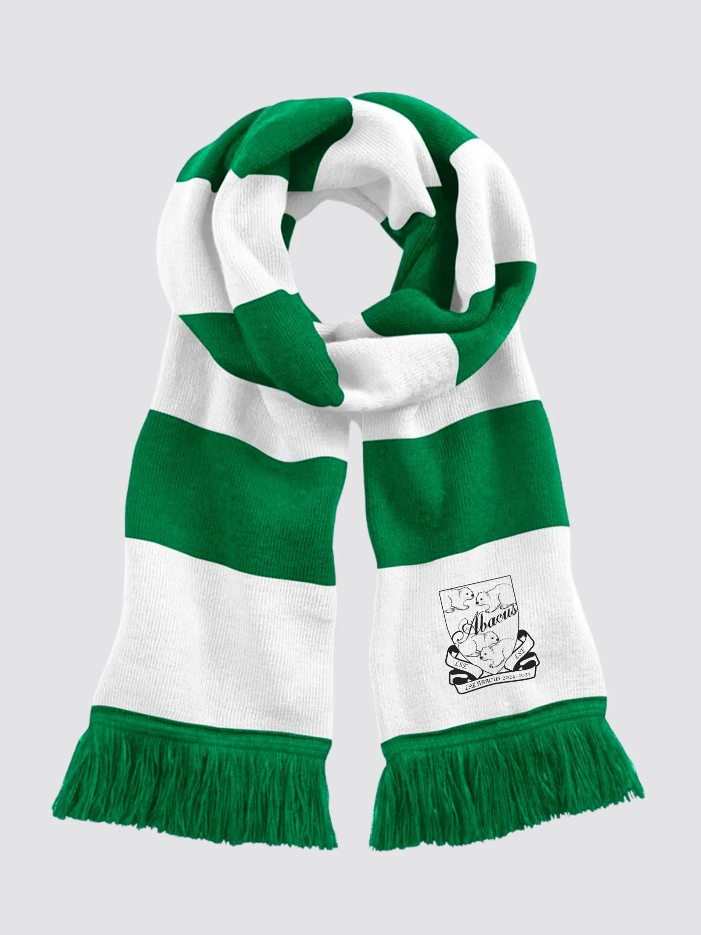 LSE ABACUS Striped Scarf - Image 7
