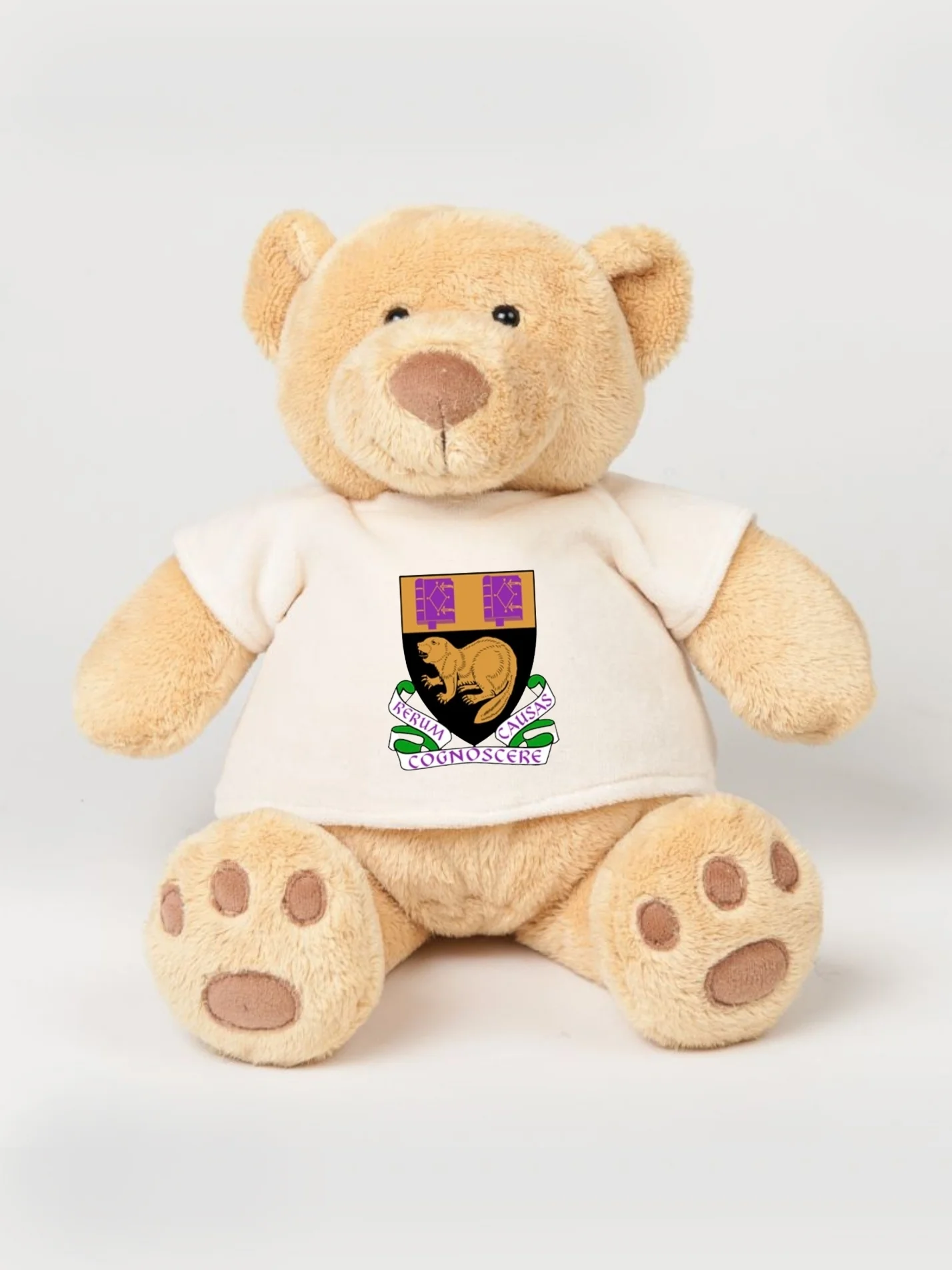 LSE Volleyball Printed Study Buddy Bear