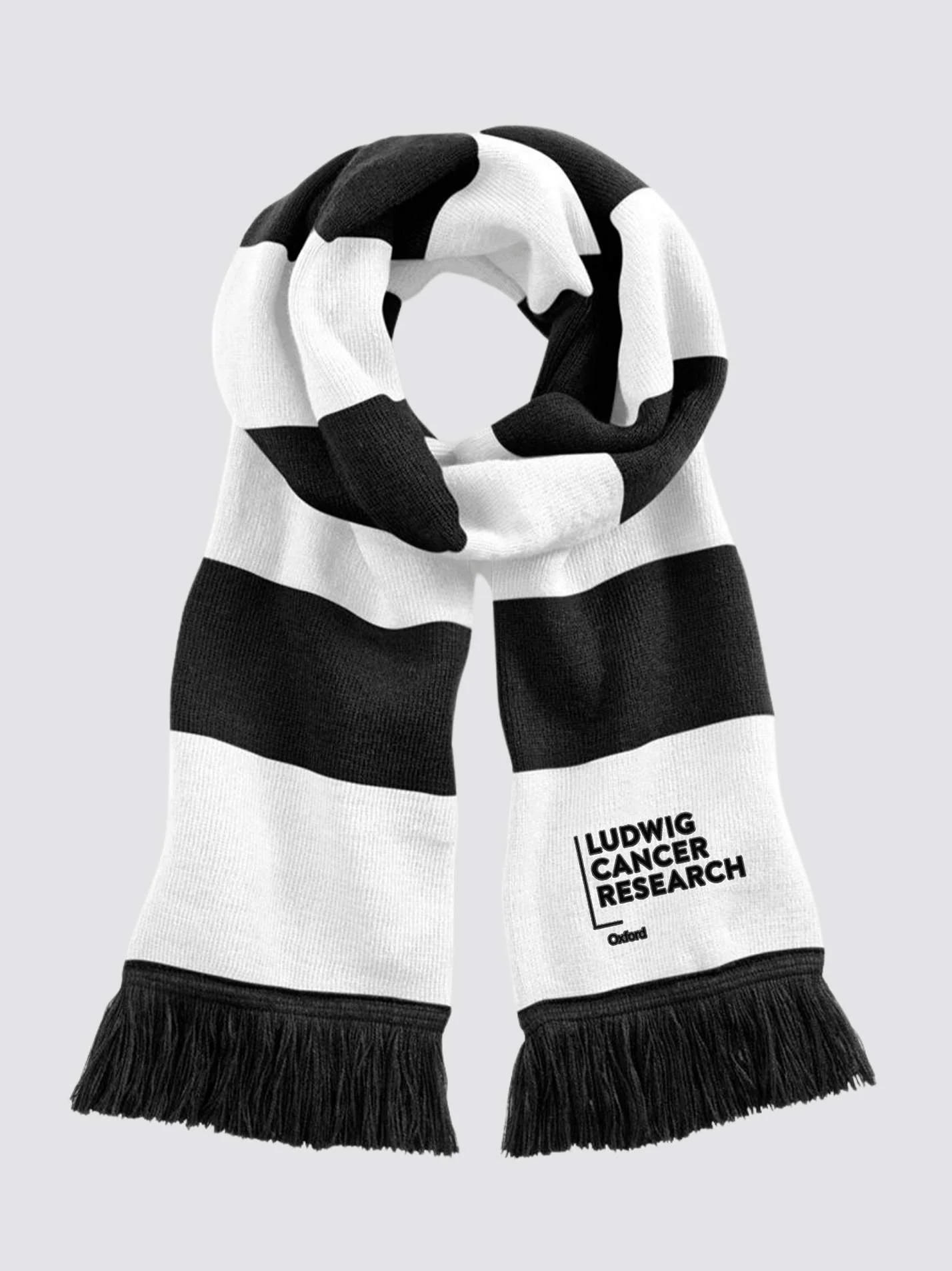Ludwig Institute Cancer Research | Oxford Branch Oxford Striped Scarf