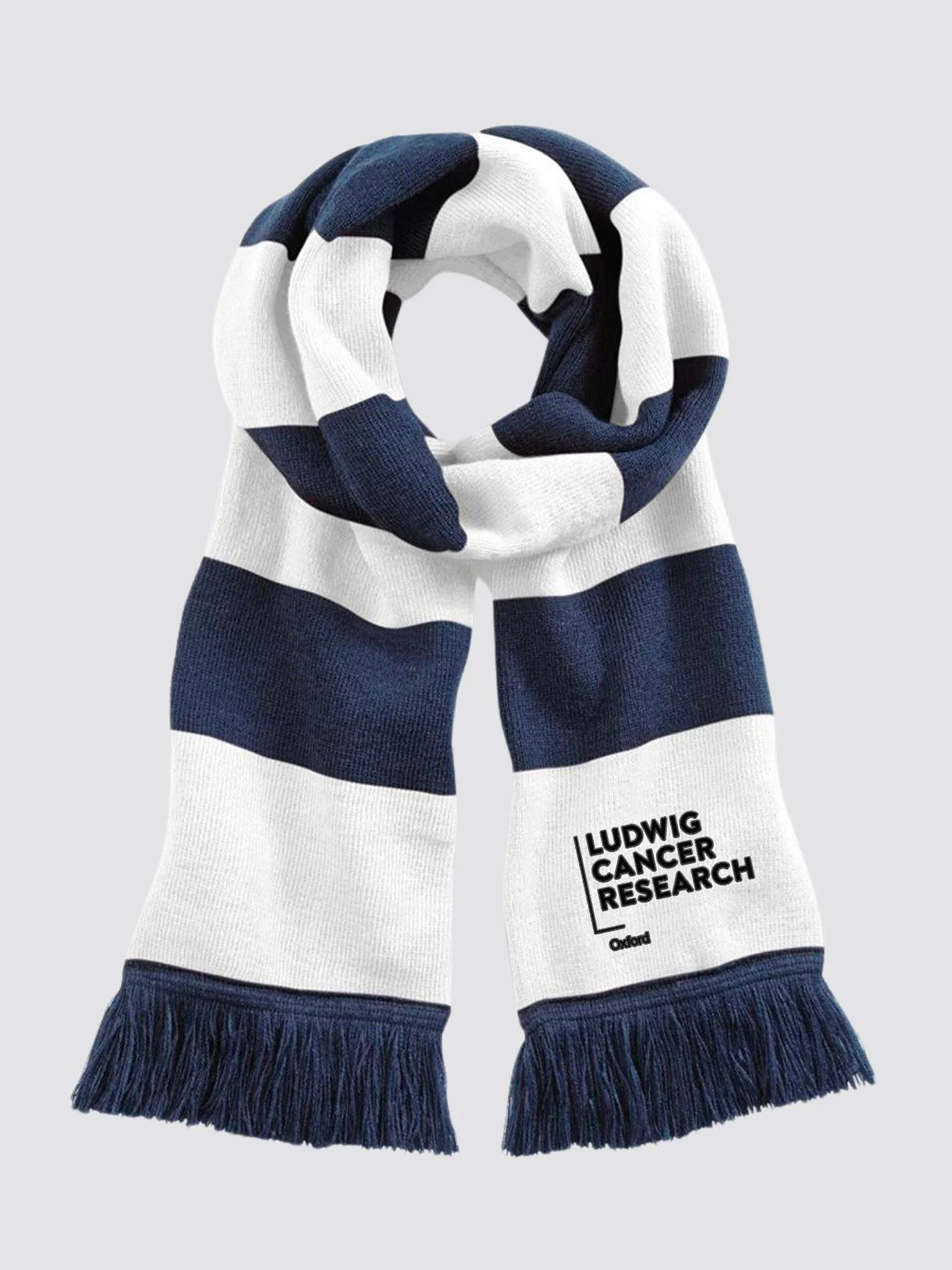 Ludwig Institute Cancer Research | Oxford Branch Oxford Striped Scarf - Image 2