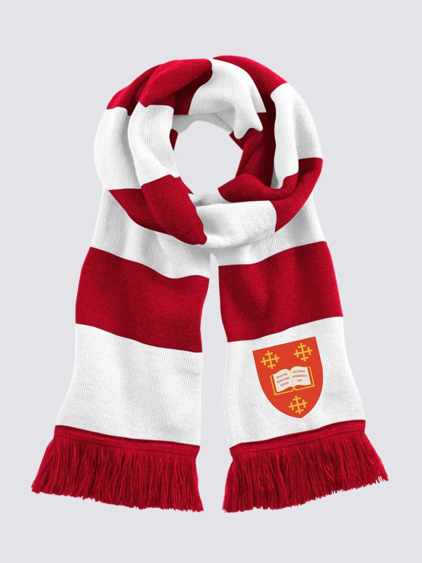 Mansfield College Oxford Striped Scarf - Image 3