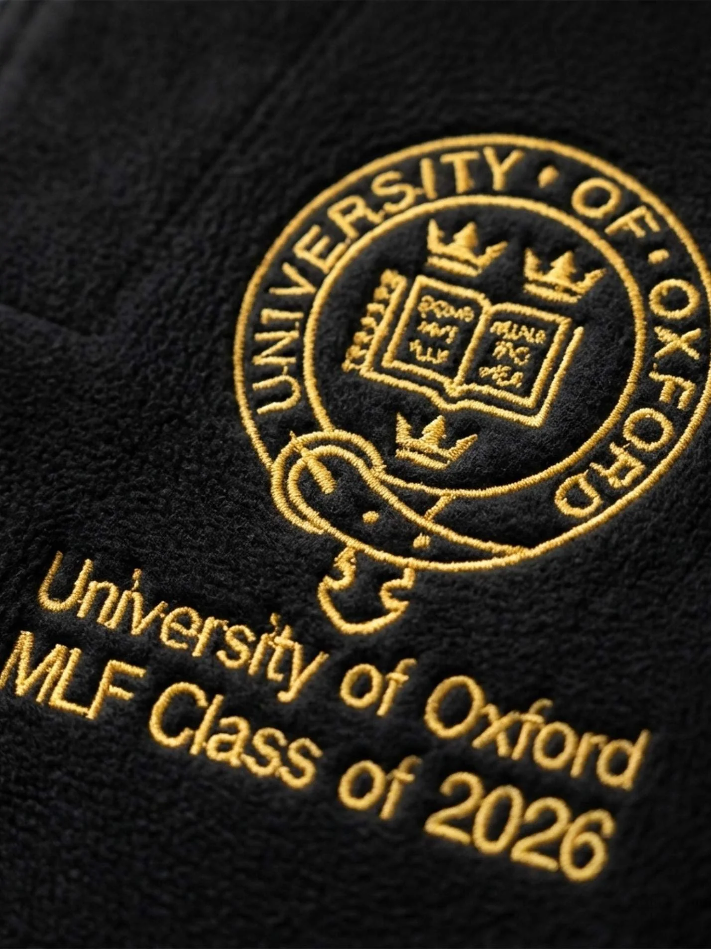 MLF Class of 2026 - University of Oxford Unisex 1/4 Zip Fleece - Image 3