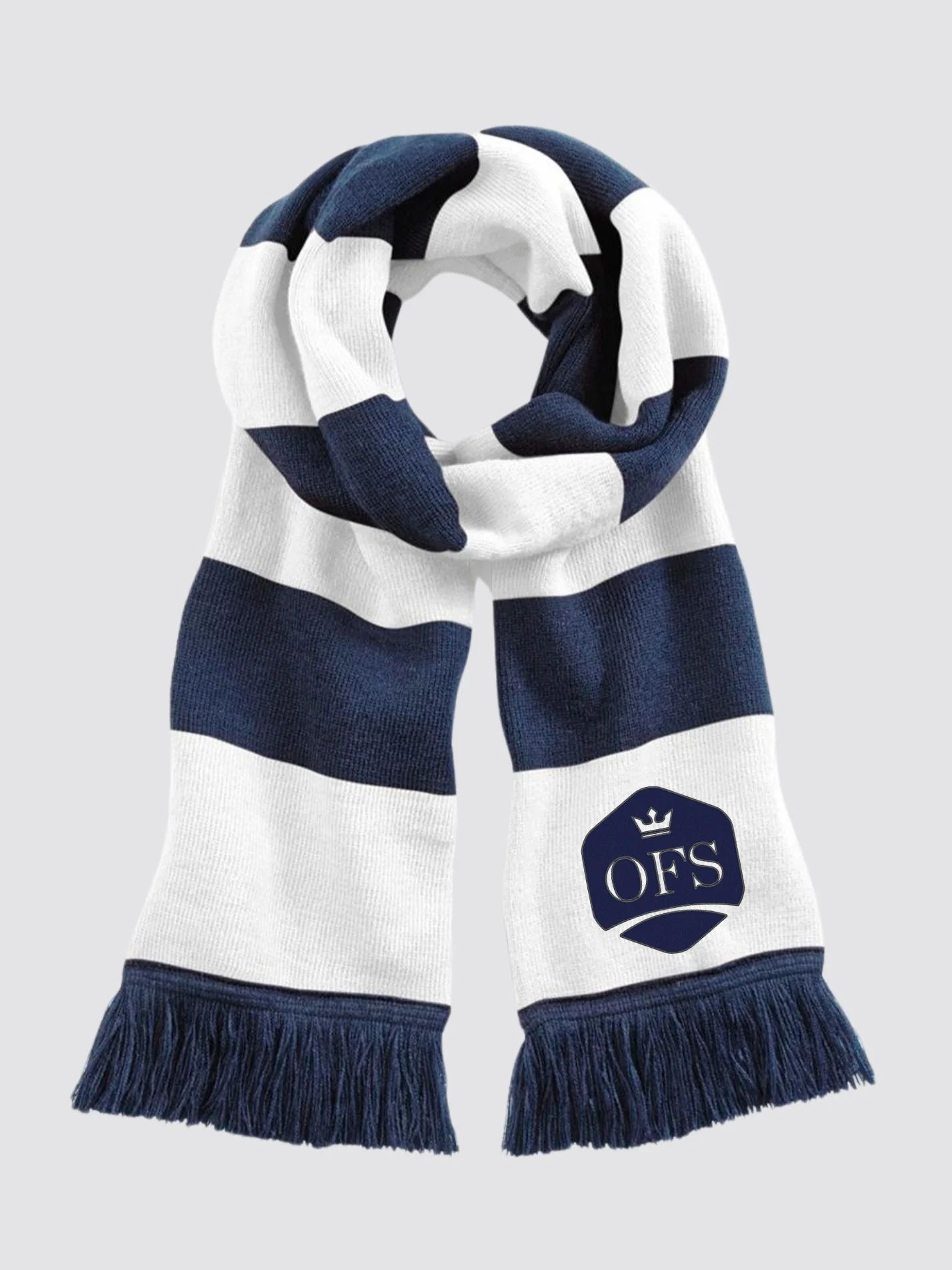 Oxford Finance Society Striped Scarf - Image 2
