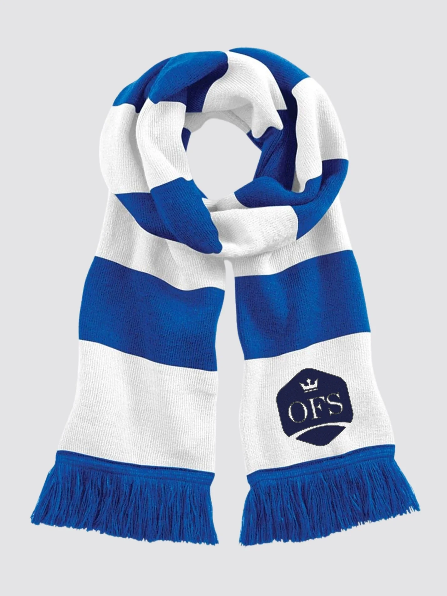 Oxford Finance Society Striped Scarf - Image 3