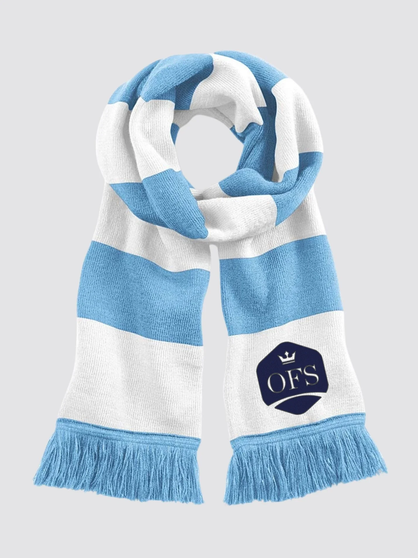 Oxford Finance Society Striped Scarf - Image 4