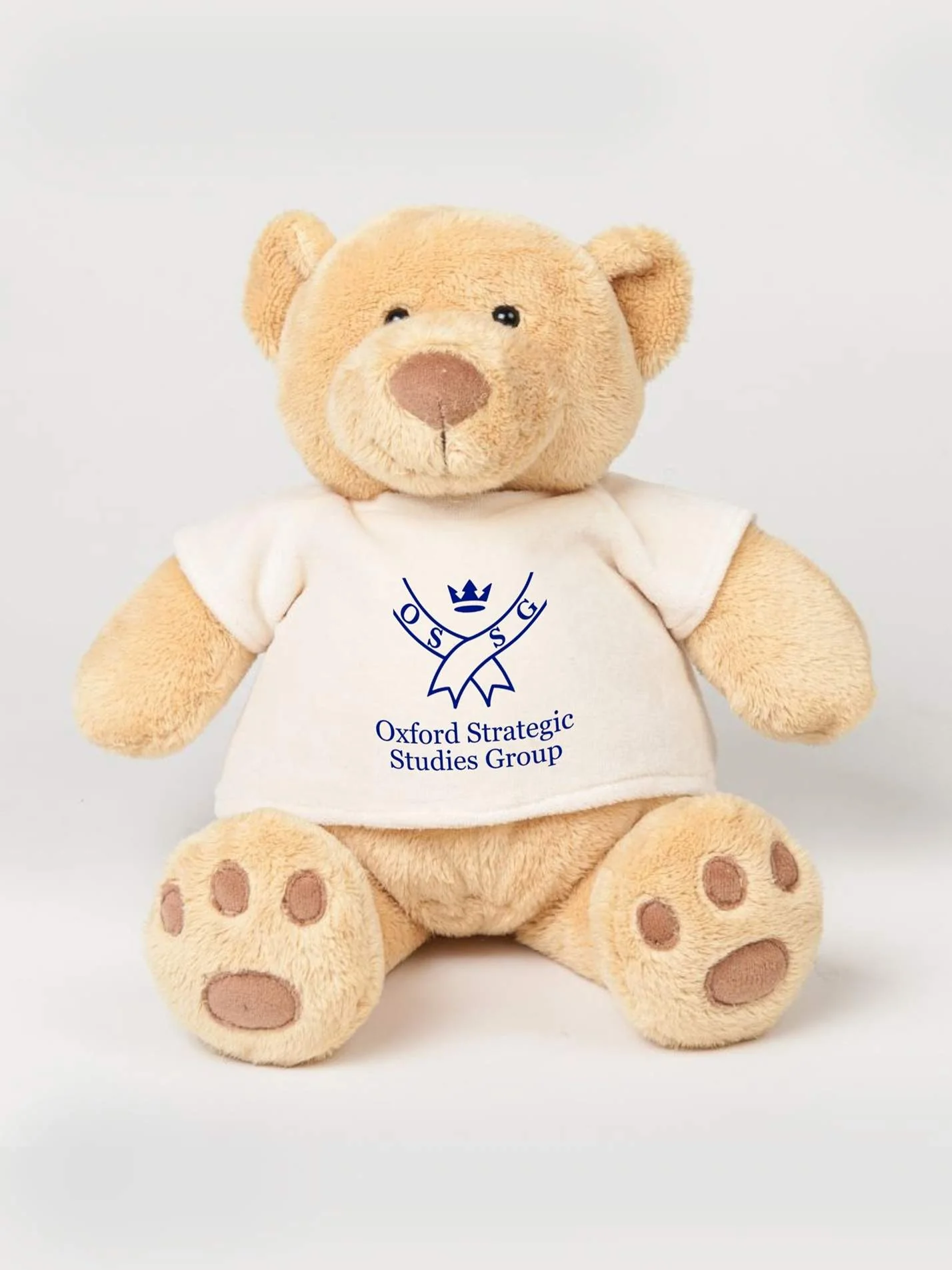 Oxford Strategic Studies Group Printed Study Buddy Bear