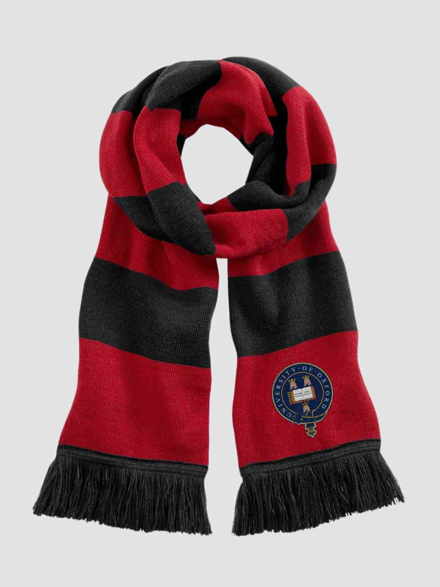 Oxford Swiftsoc Striped Scarf - Image 2