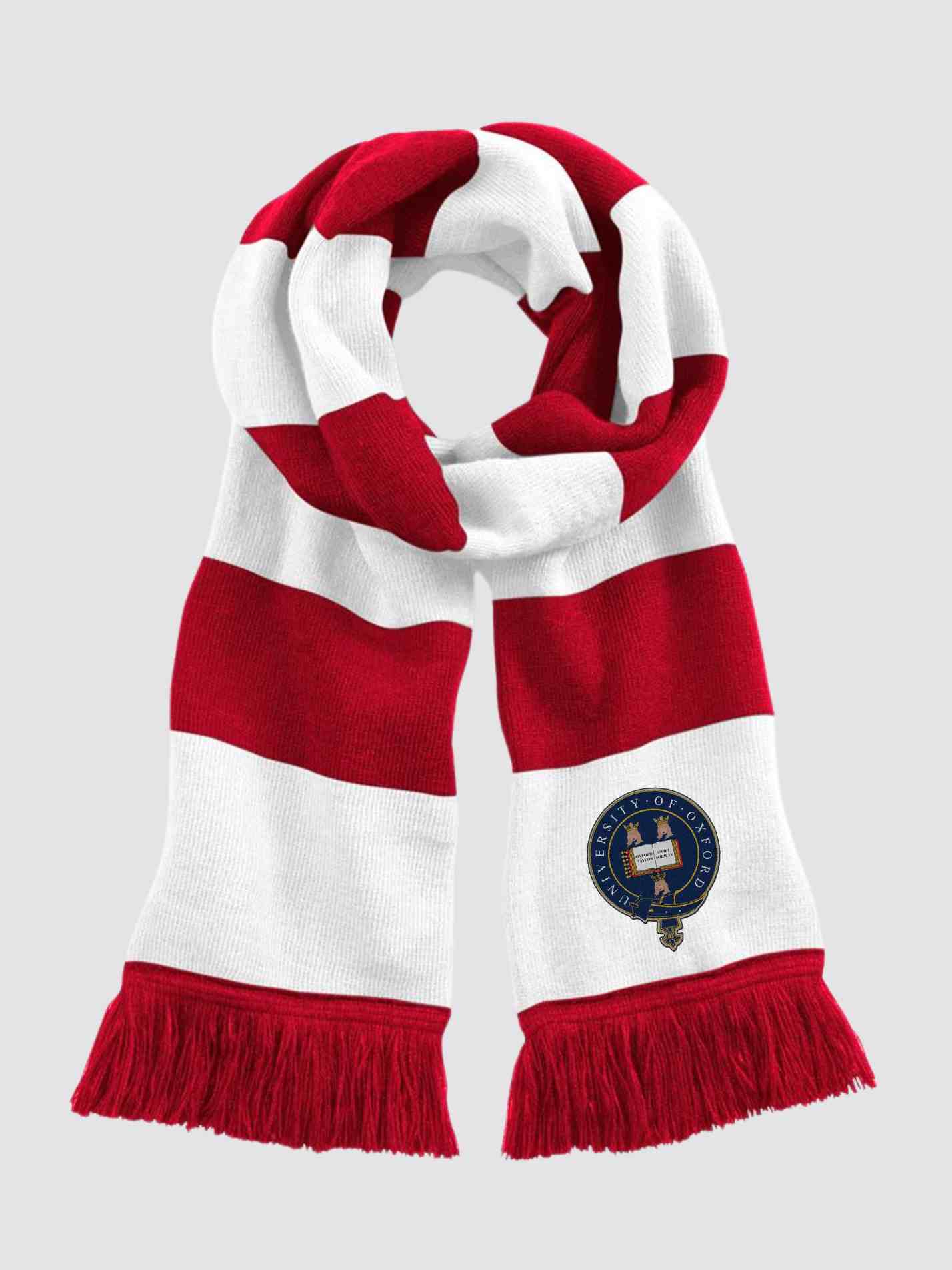 Oxford Swiftsoc Striped Scarf - Image 3