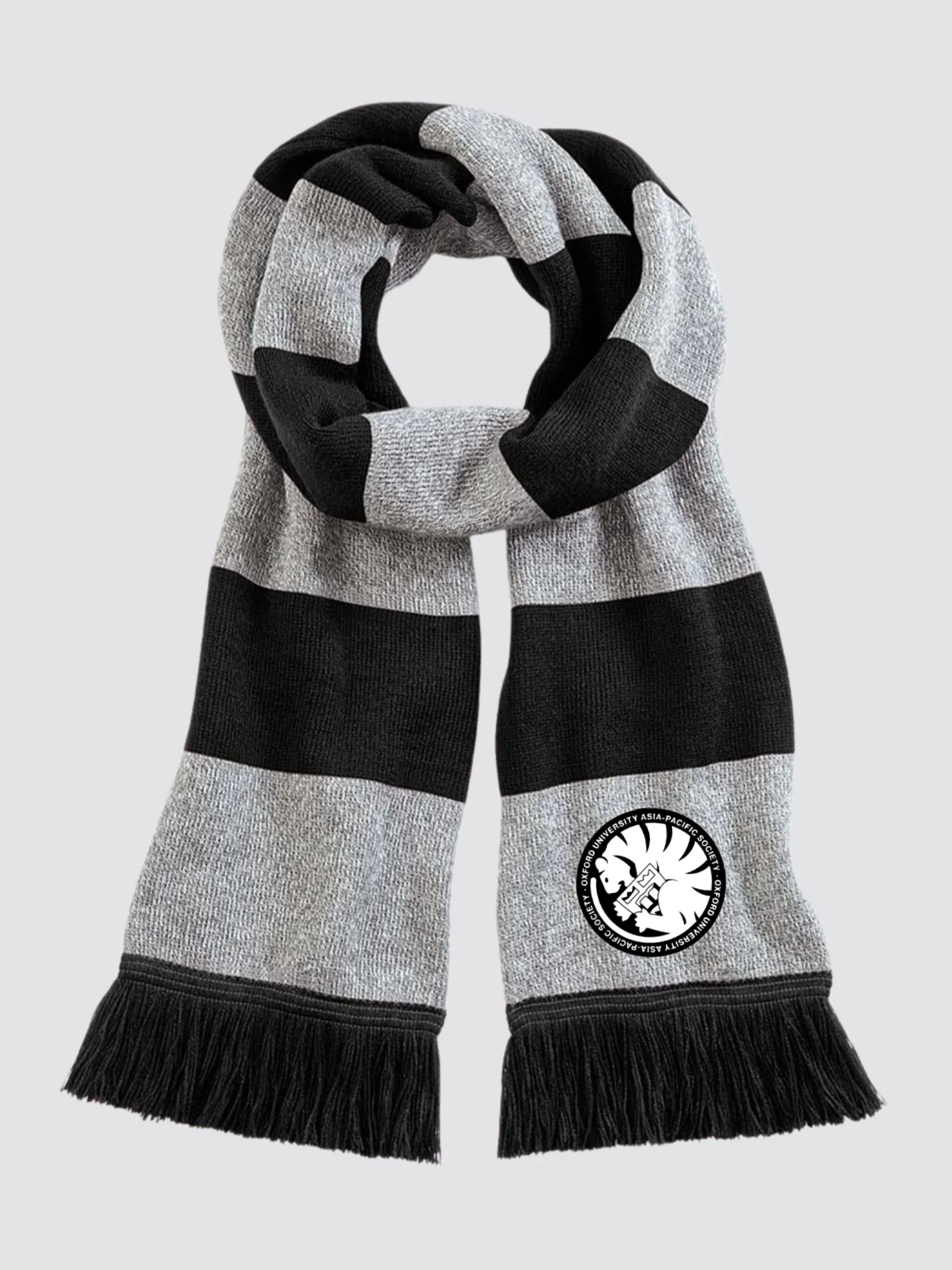 Oxford University Asian Pacific Society Striped Scarf - Image 3