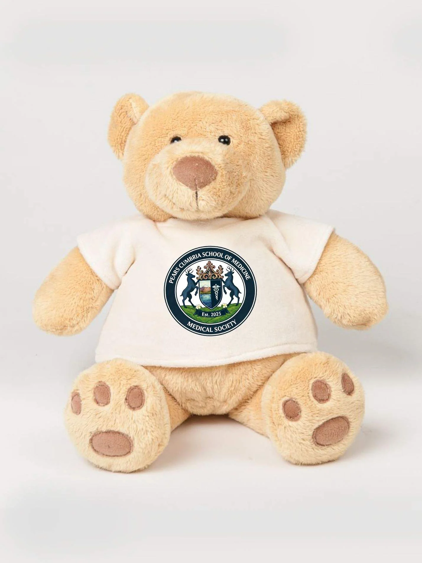 Pears Cumbria School of Medicine Medical Society Printed Study Buddy Bear