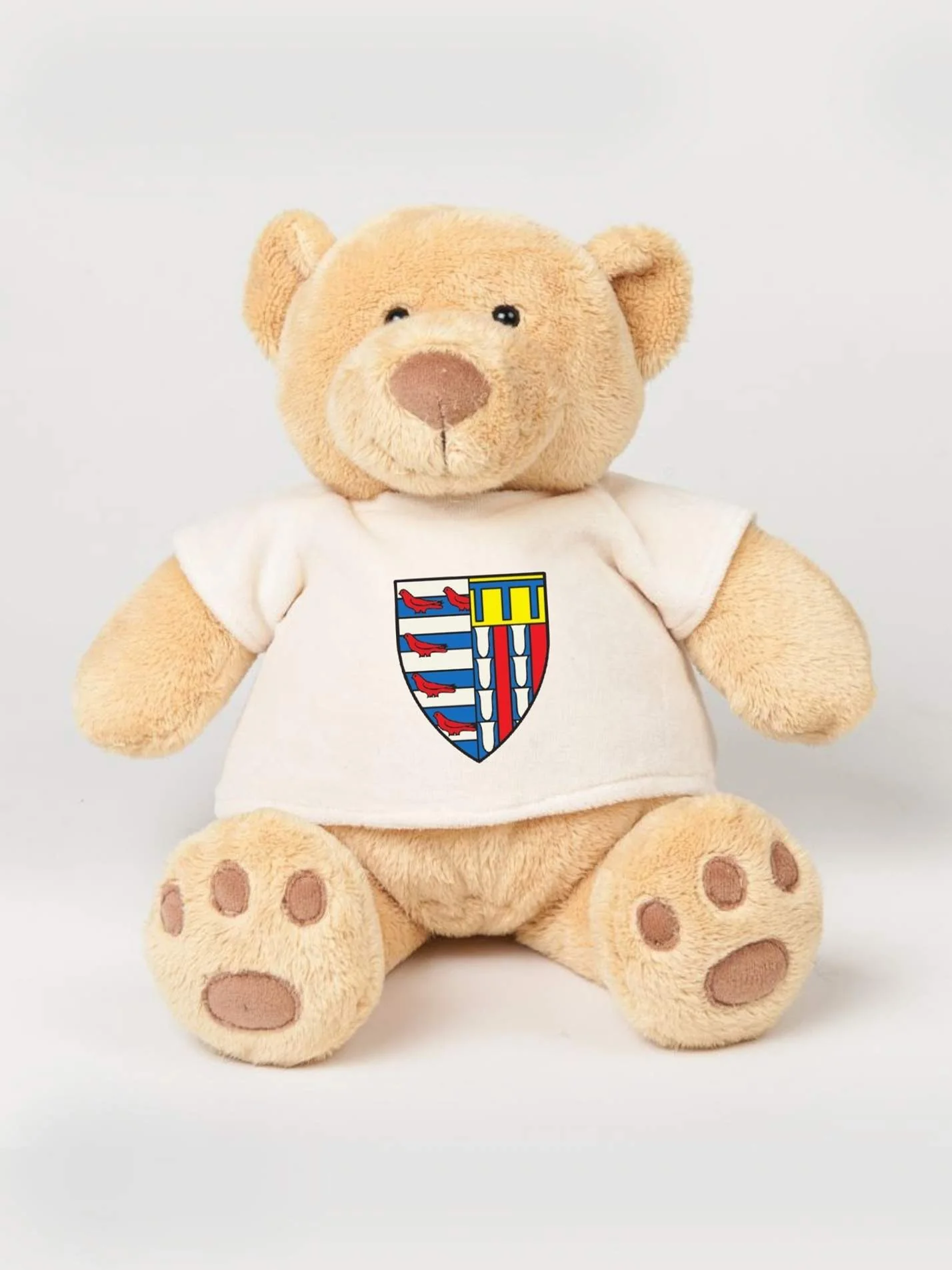 Pembroke College Cambridge JCR Printed Study Buddy Bear