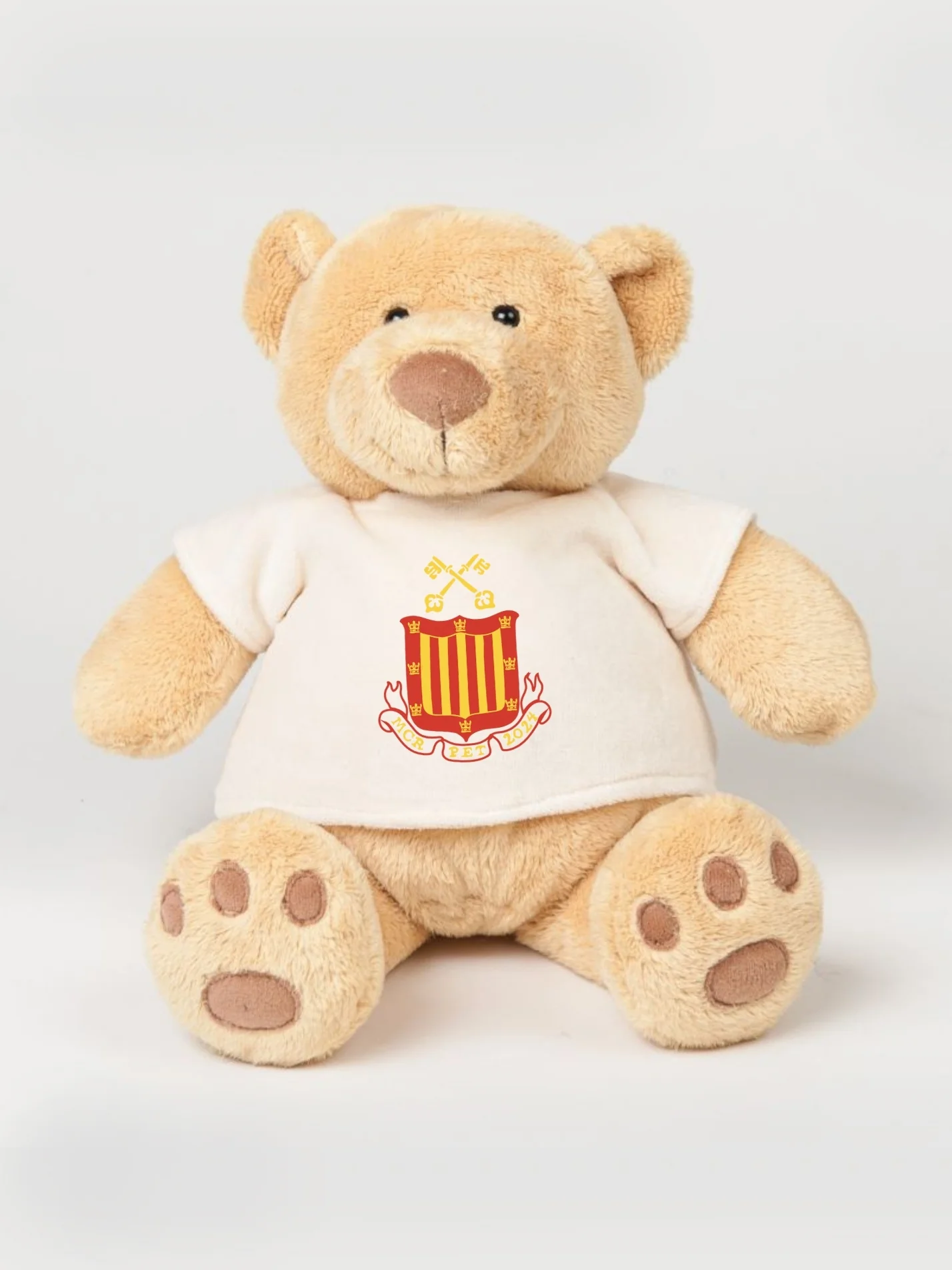 Peterhouse Cambridge MCR Printed Study Buddy Bear