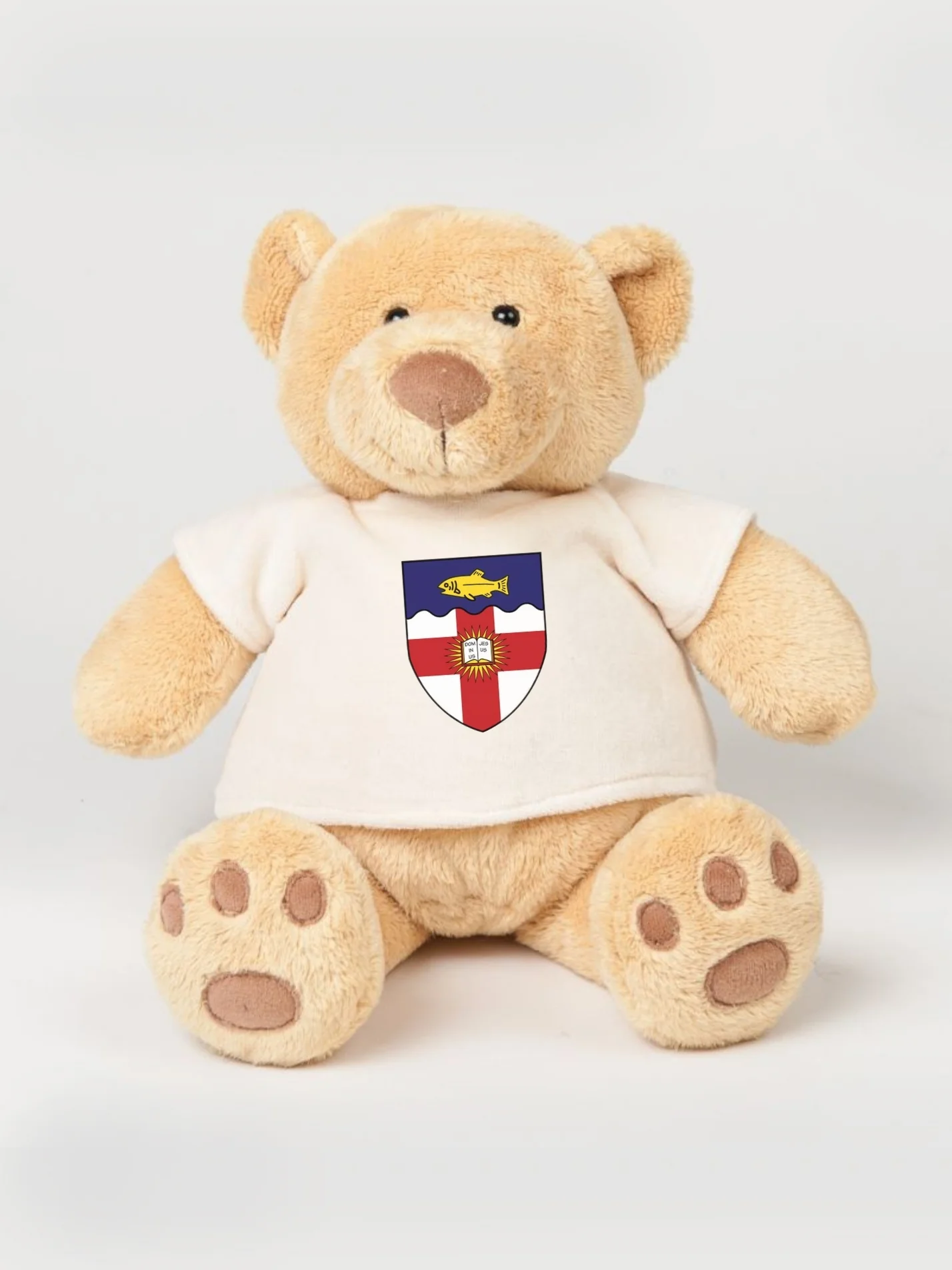 Regent's Park College Oxford JCR Printed Study Buddy Bear