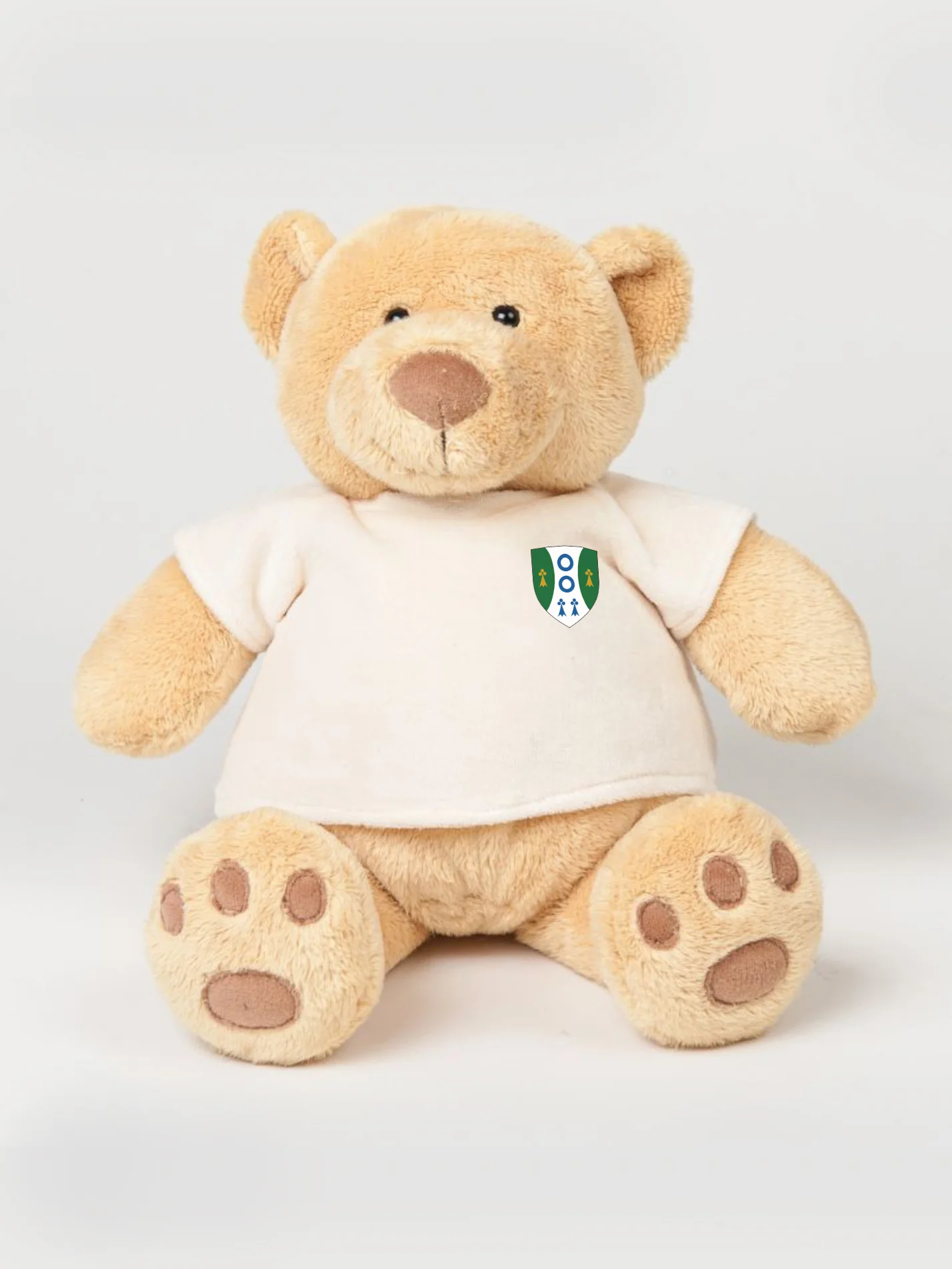 Reuben College Oxford Printed Study Buddy Bear