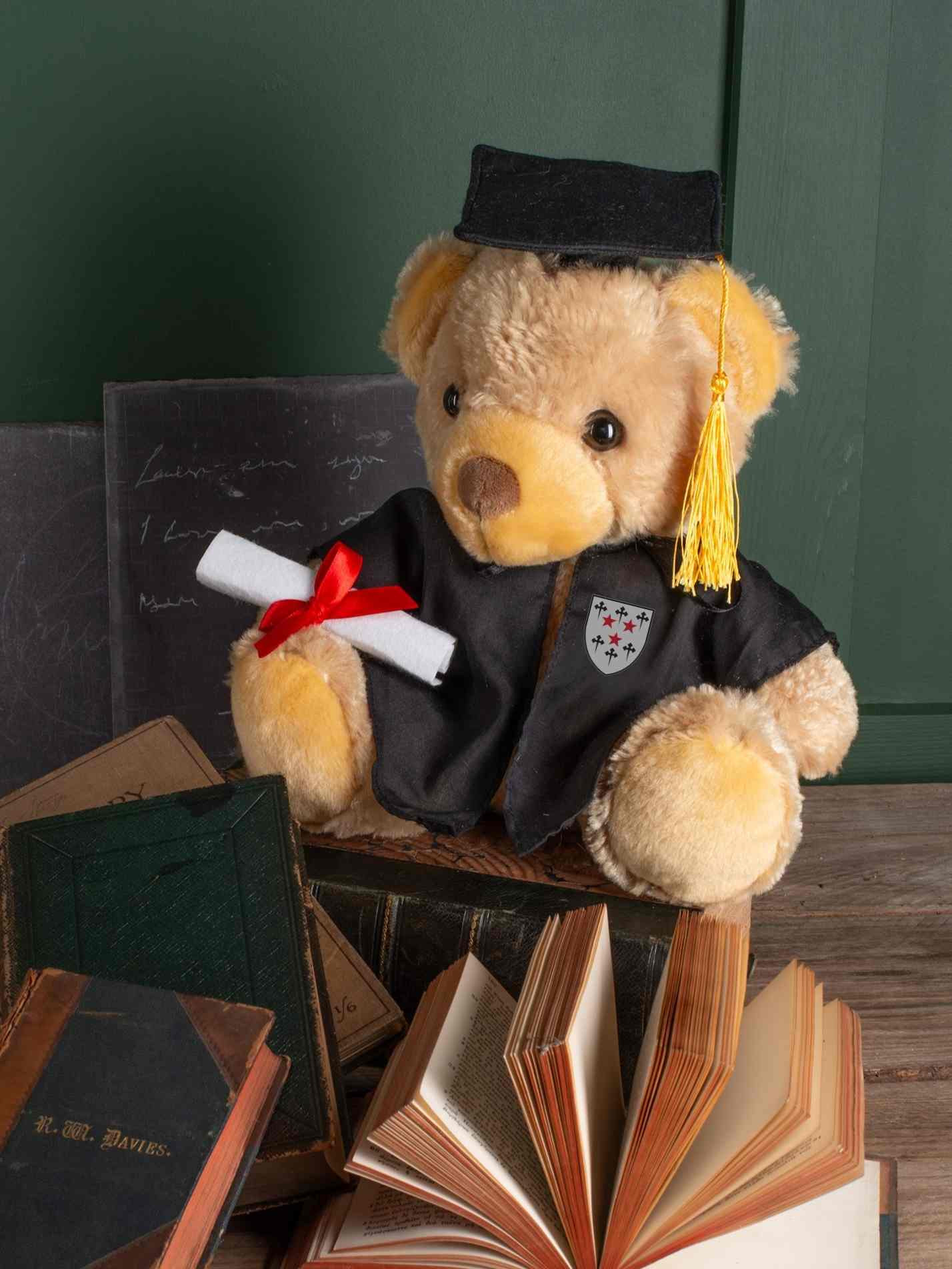Somerville College Oxford MCR Traditional Crest Graduation Printed Bear Keepsake